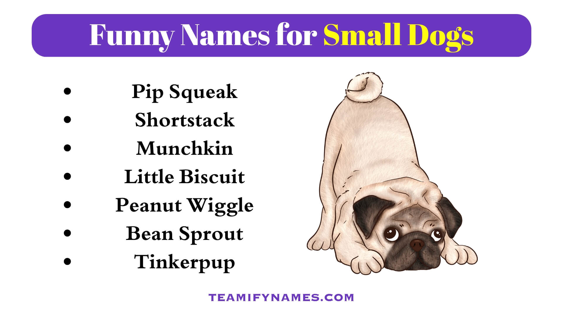 Funny Names for Small Dogs