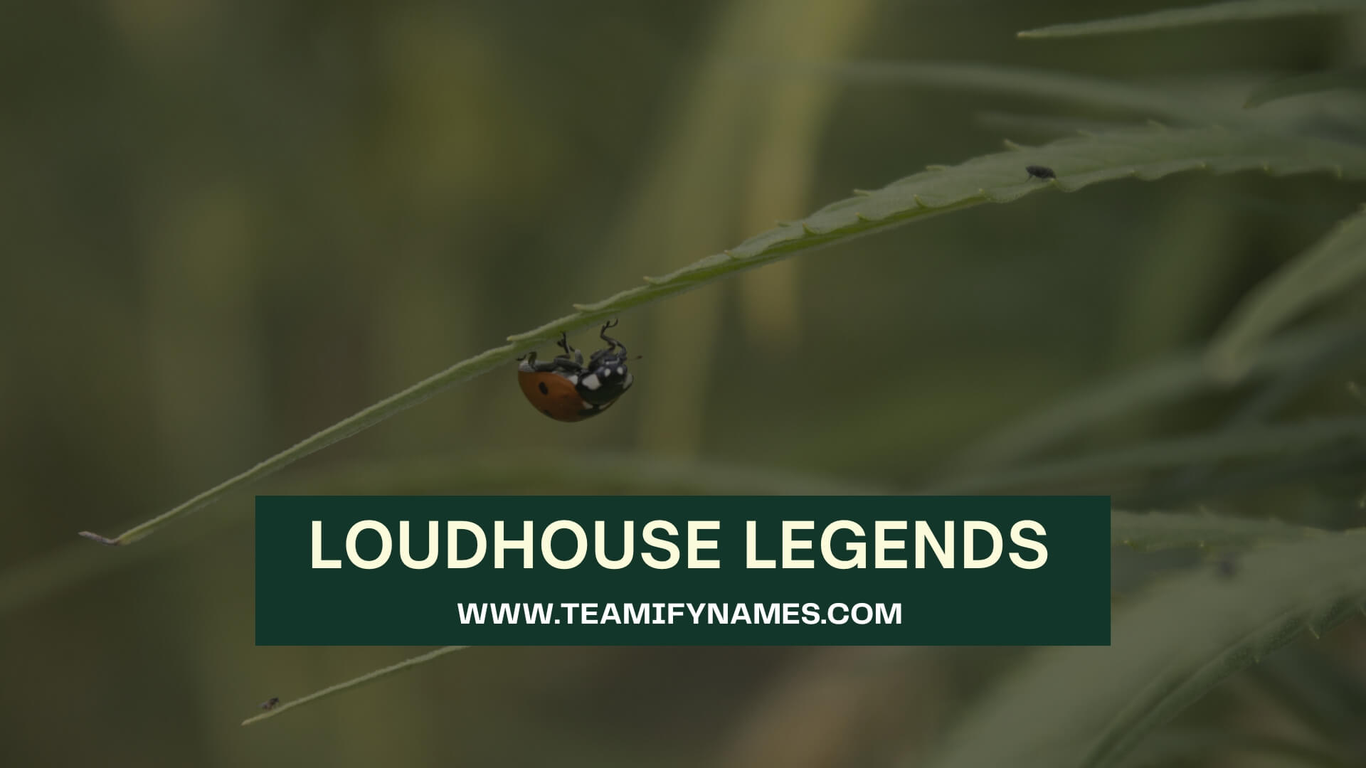 Loudhouse Legends