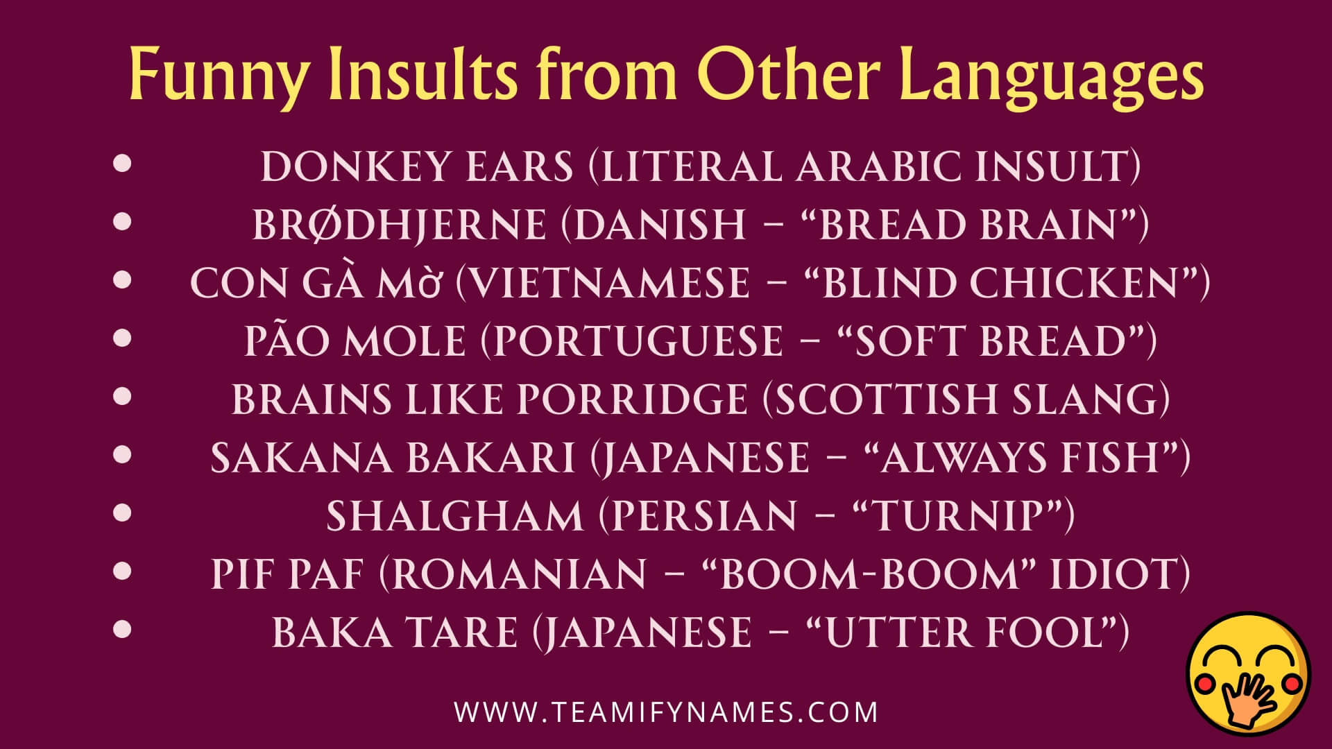 Funny Insults from Other Languages