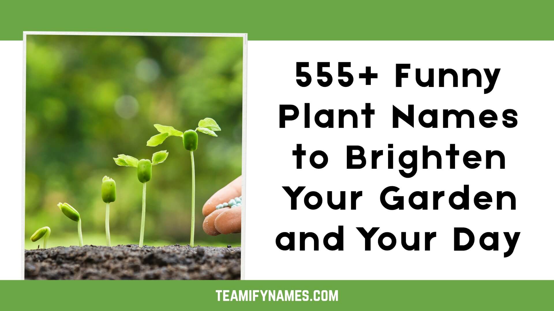 555+ Funny Plant Names to Brighten Your Garden and Your Day
