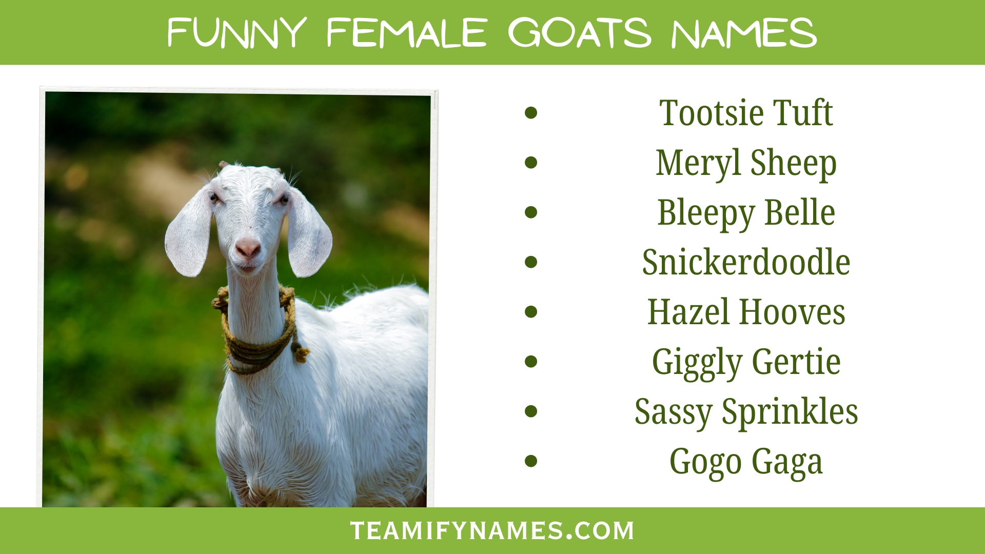 Funny Female Goats Names