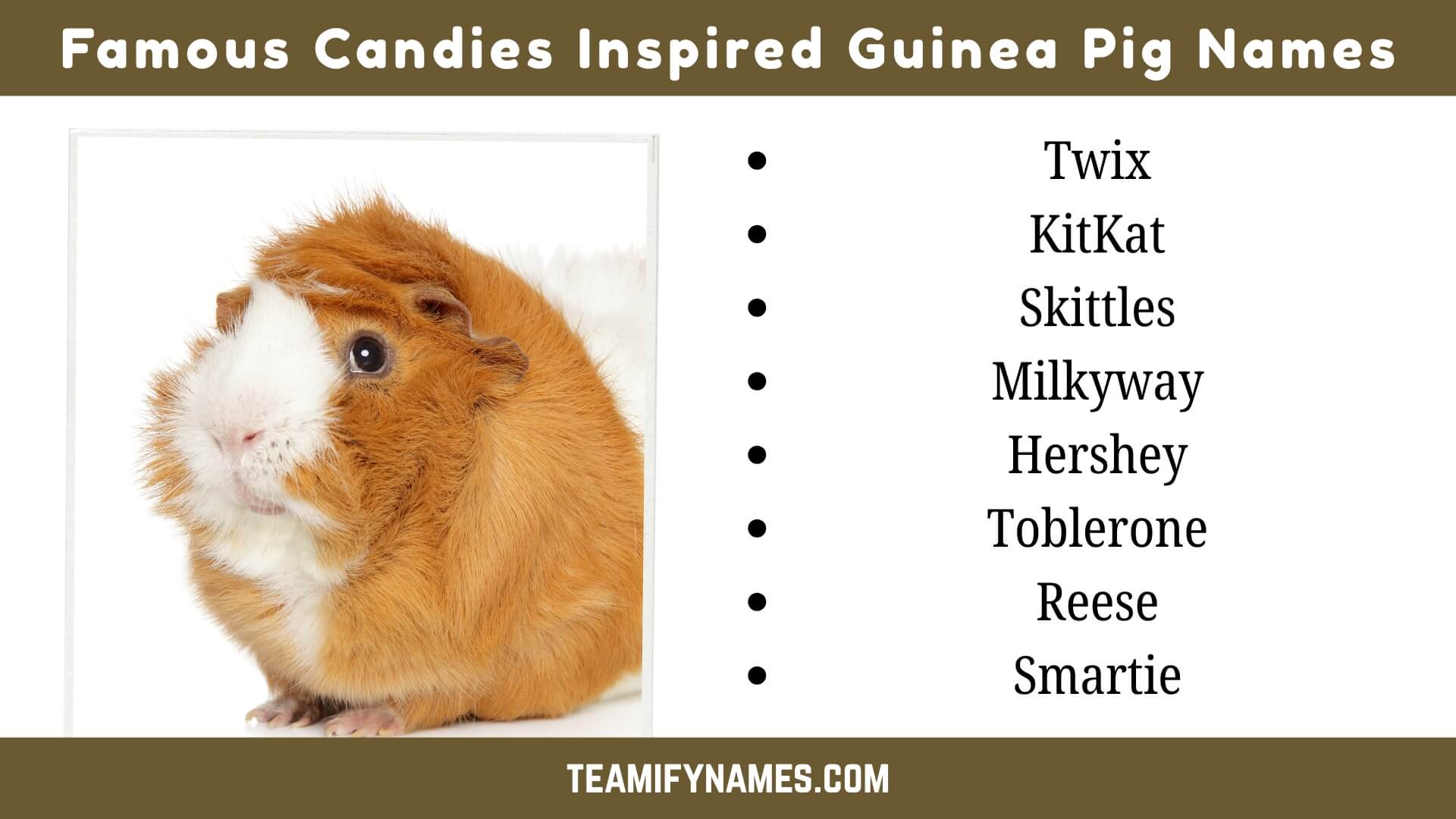 Famous Candies Inspired Guinea Pig Names