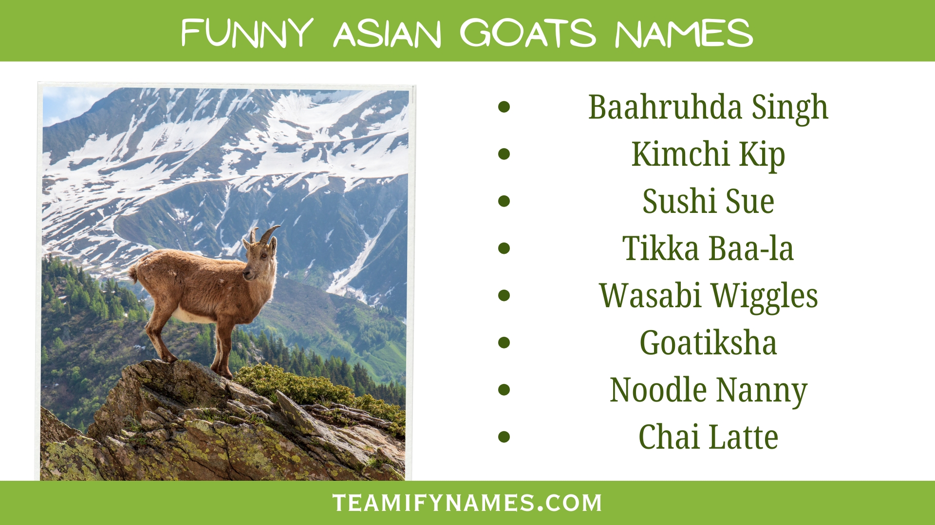 Funny Asian Goats Names