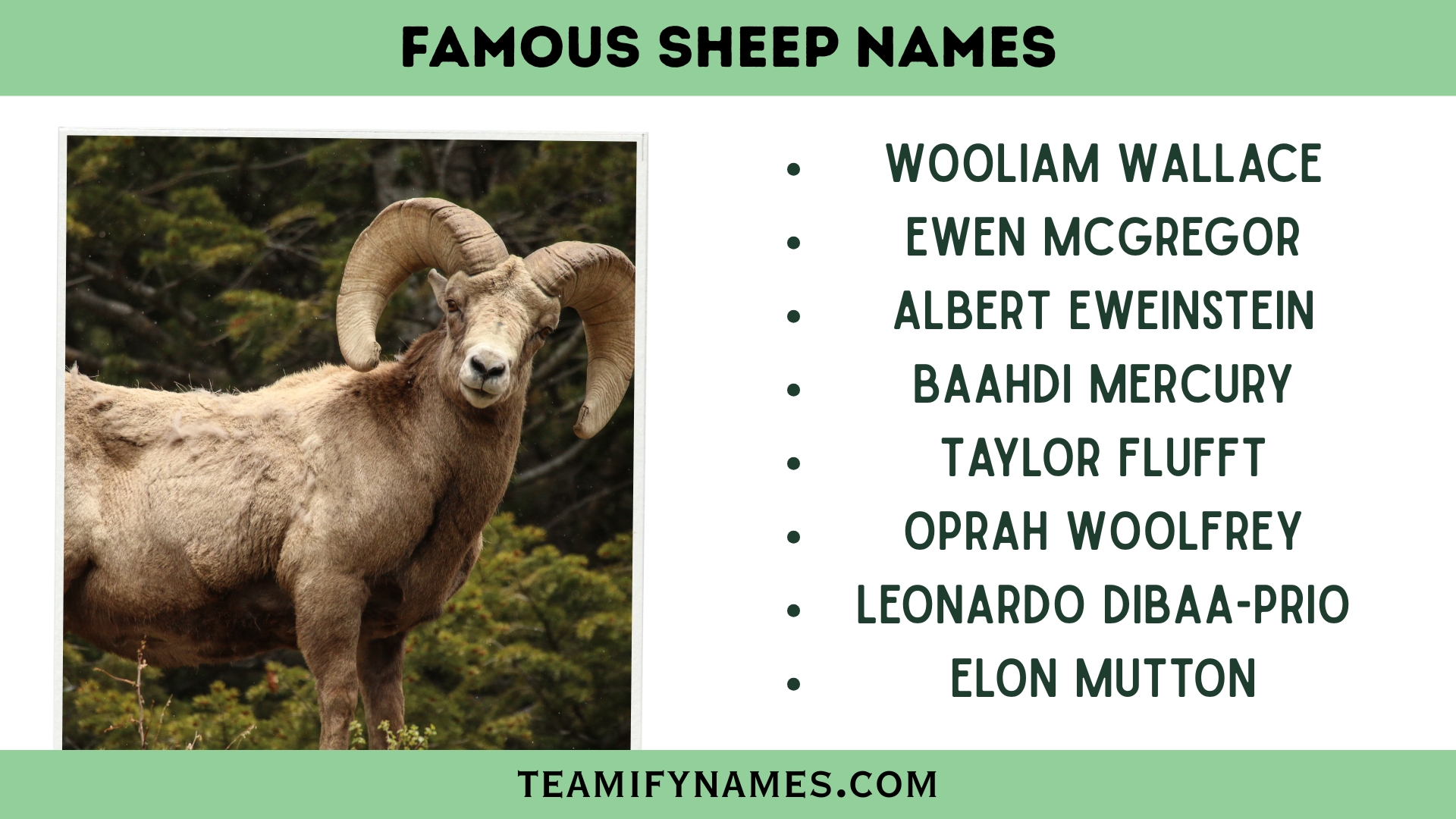 Famous Sheep Names