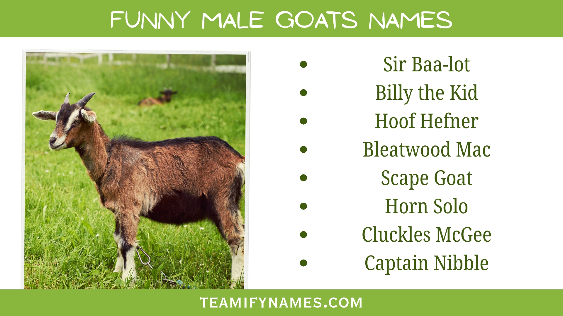 Funny Male Goats Names