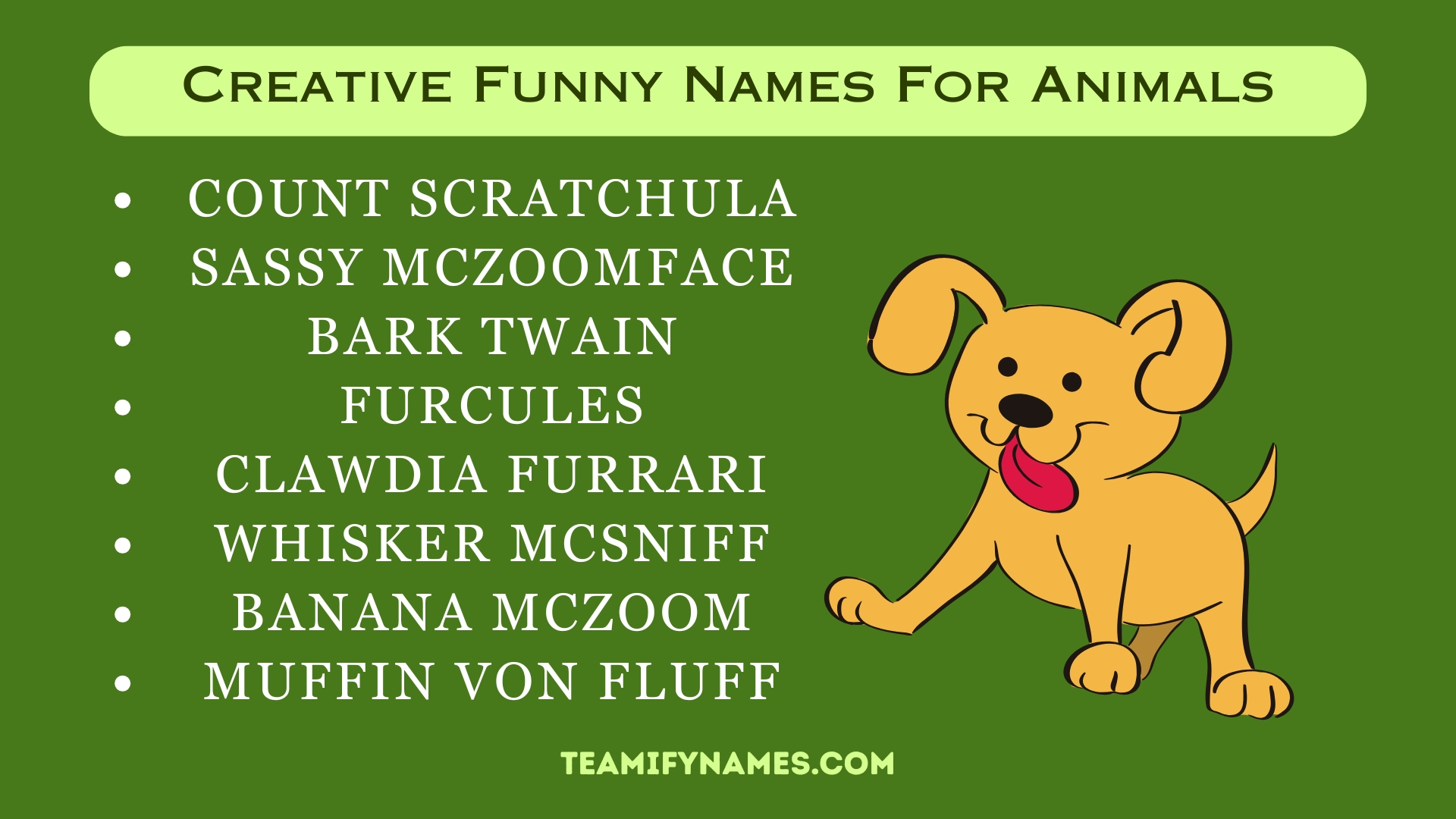 Creative Funny Names For Animals