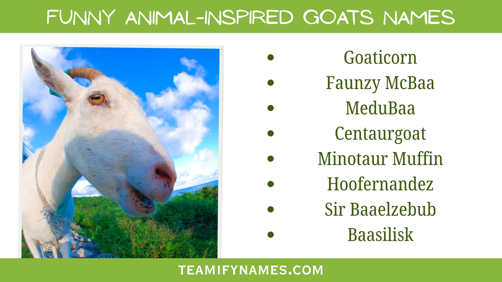 Funny Animal-Inspired Goats Names