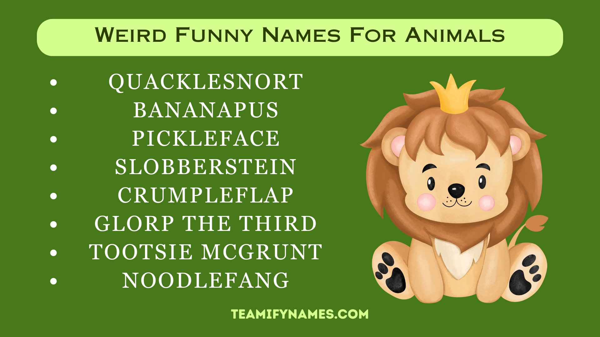 Weird Funny Names For Animals