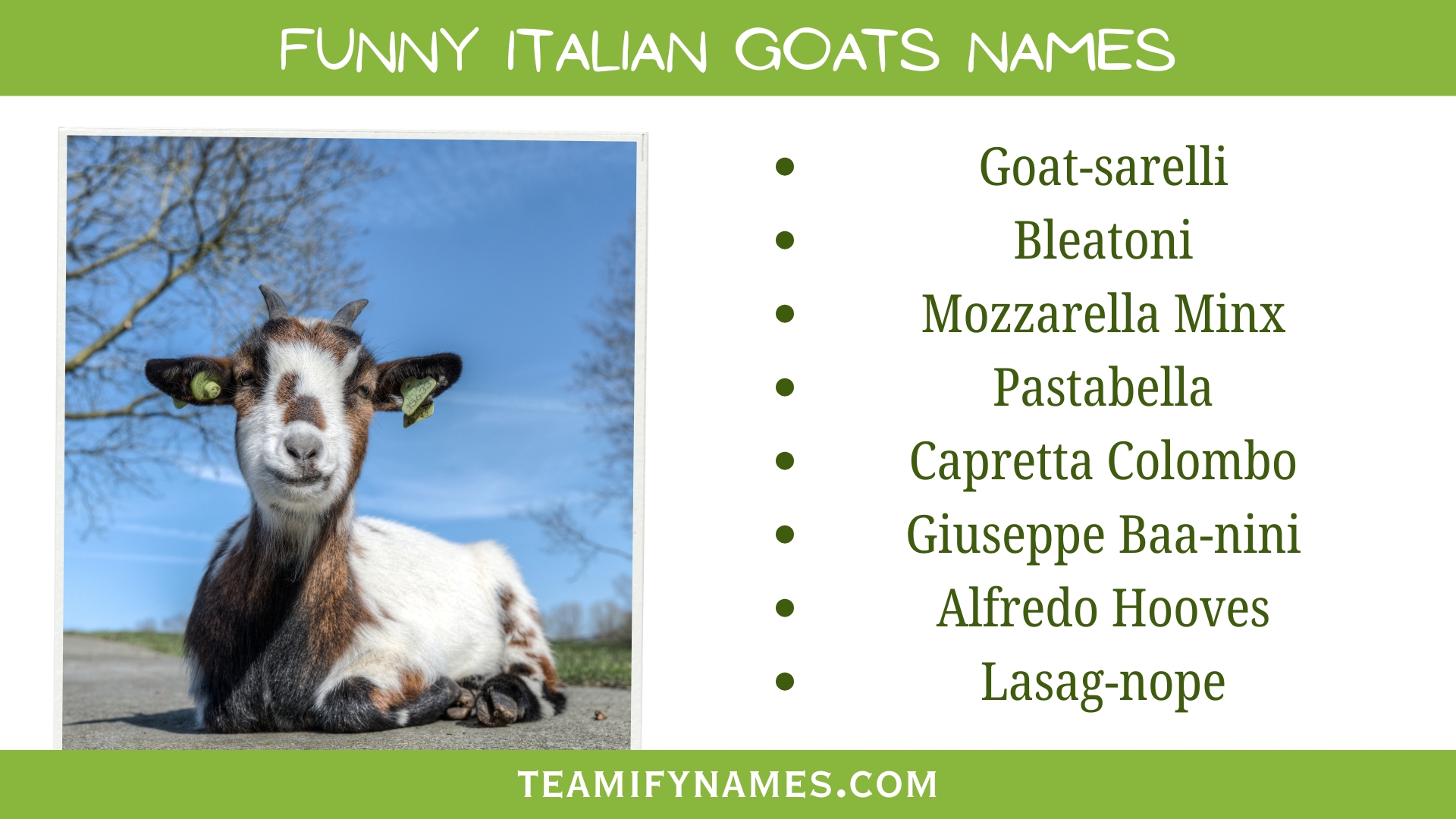 Funny Italian Goats Names