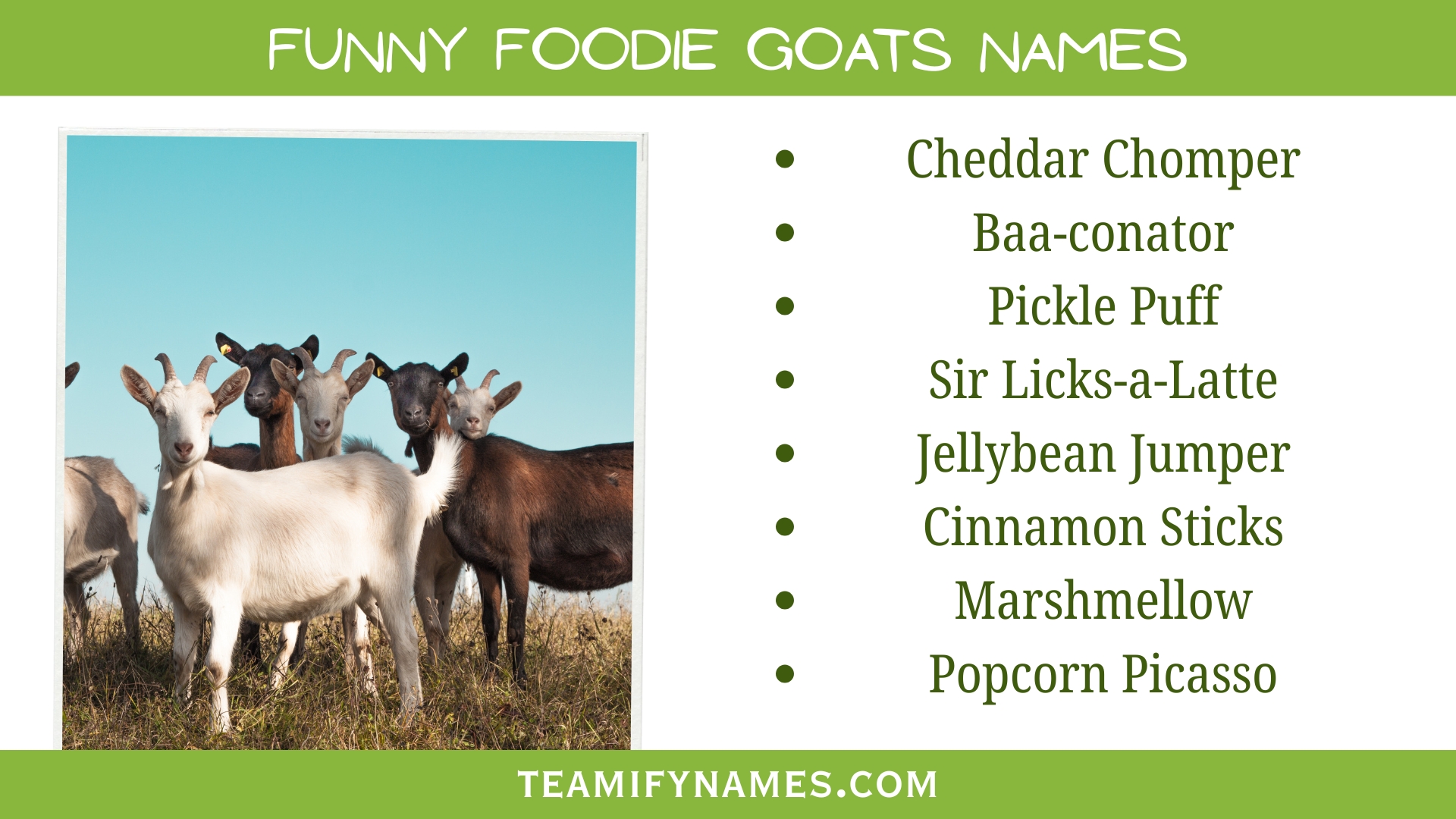 Funny Foodie Goats Names