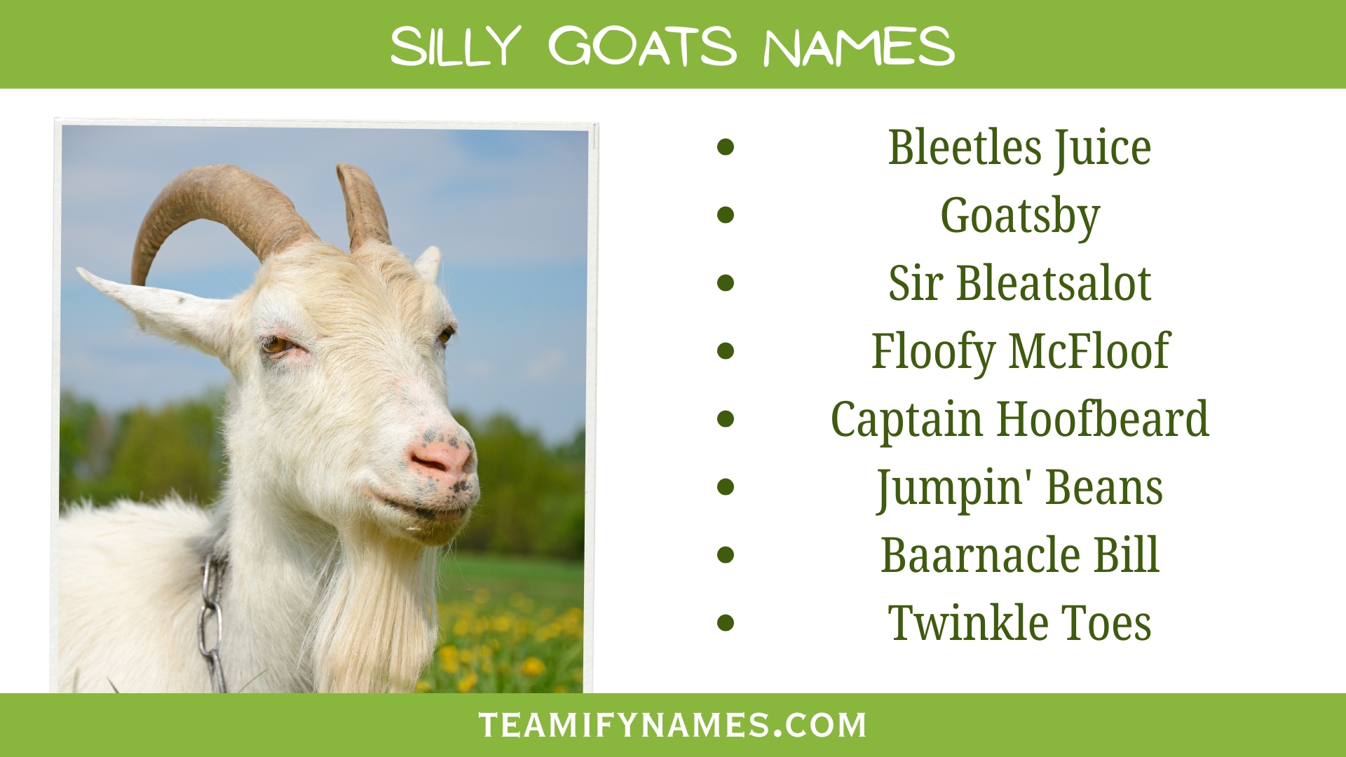 Silly Goats Names