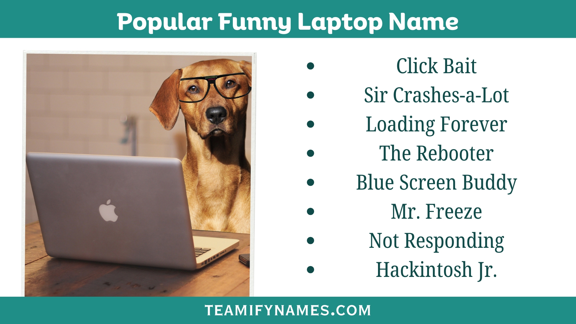 Popular Funny Laptop Name