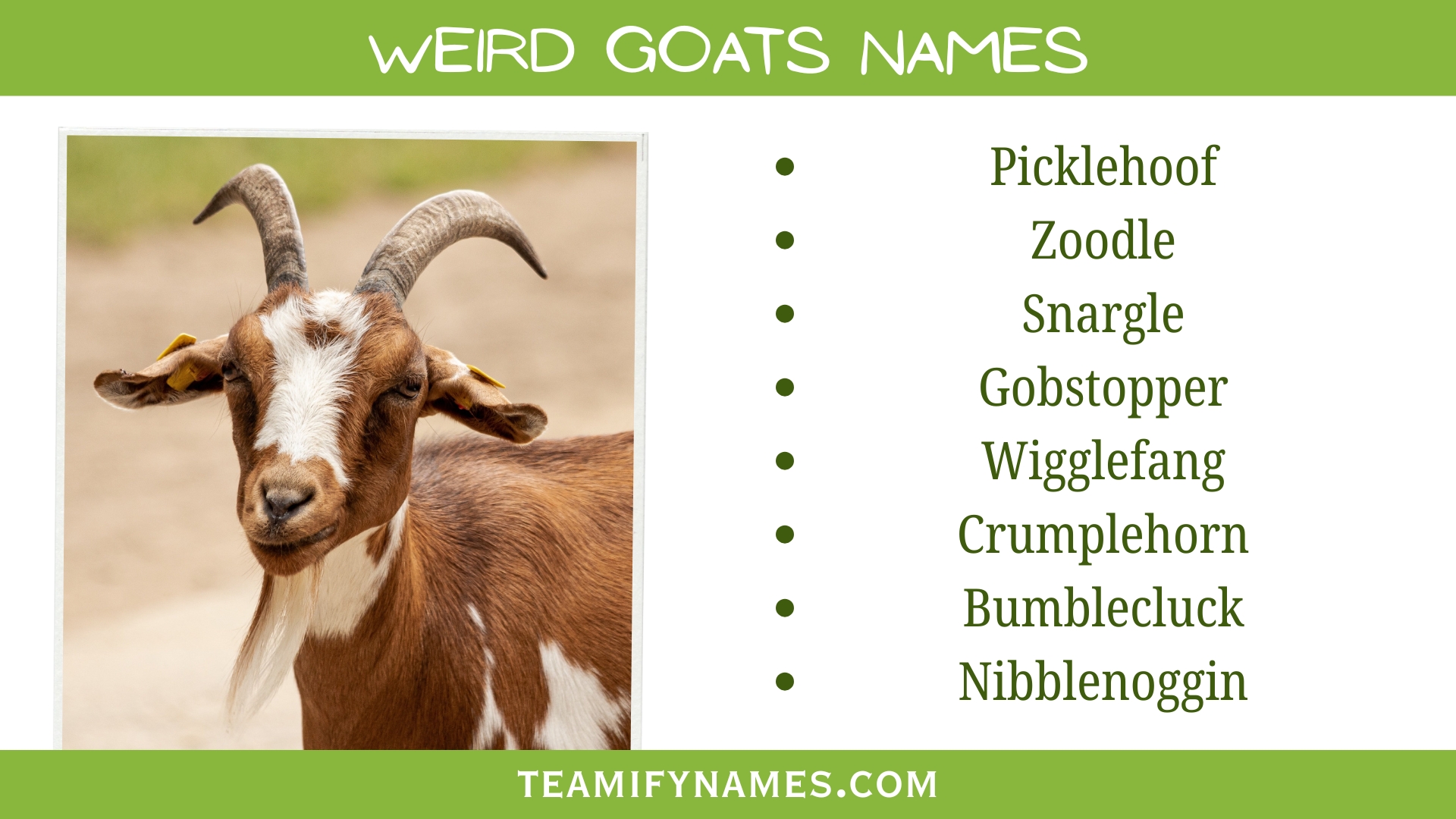 Weird Goats Names