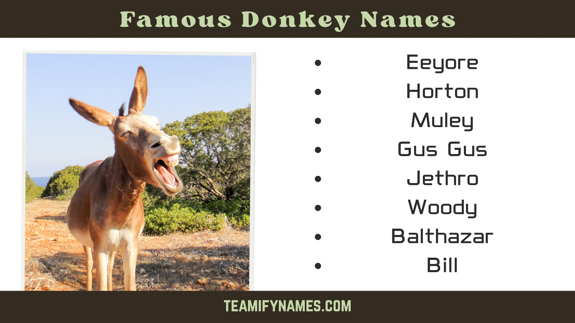 Famous Donkey Names
