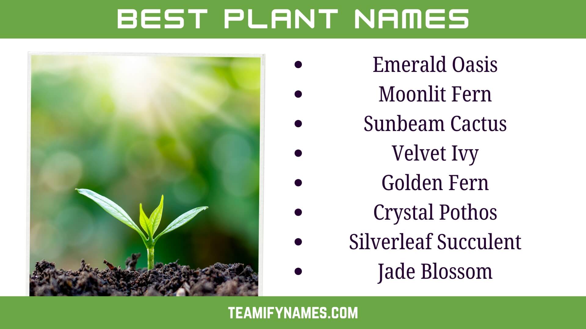 Best Plant Names