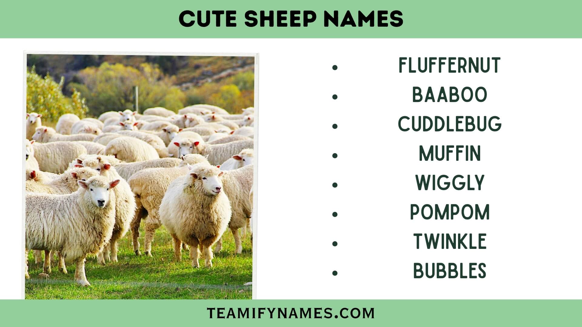 Cute Sheep Names