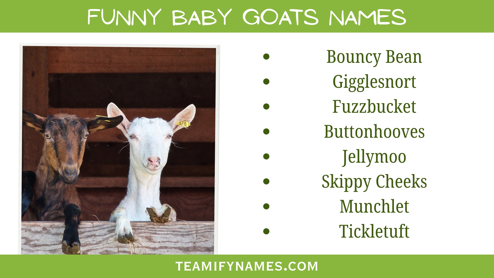 Funny Baby Goats Names