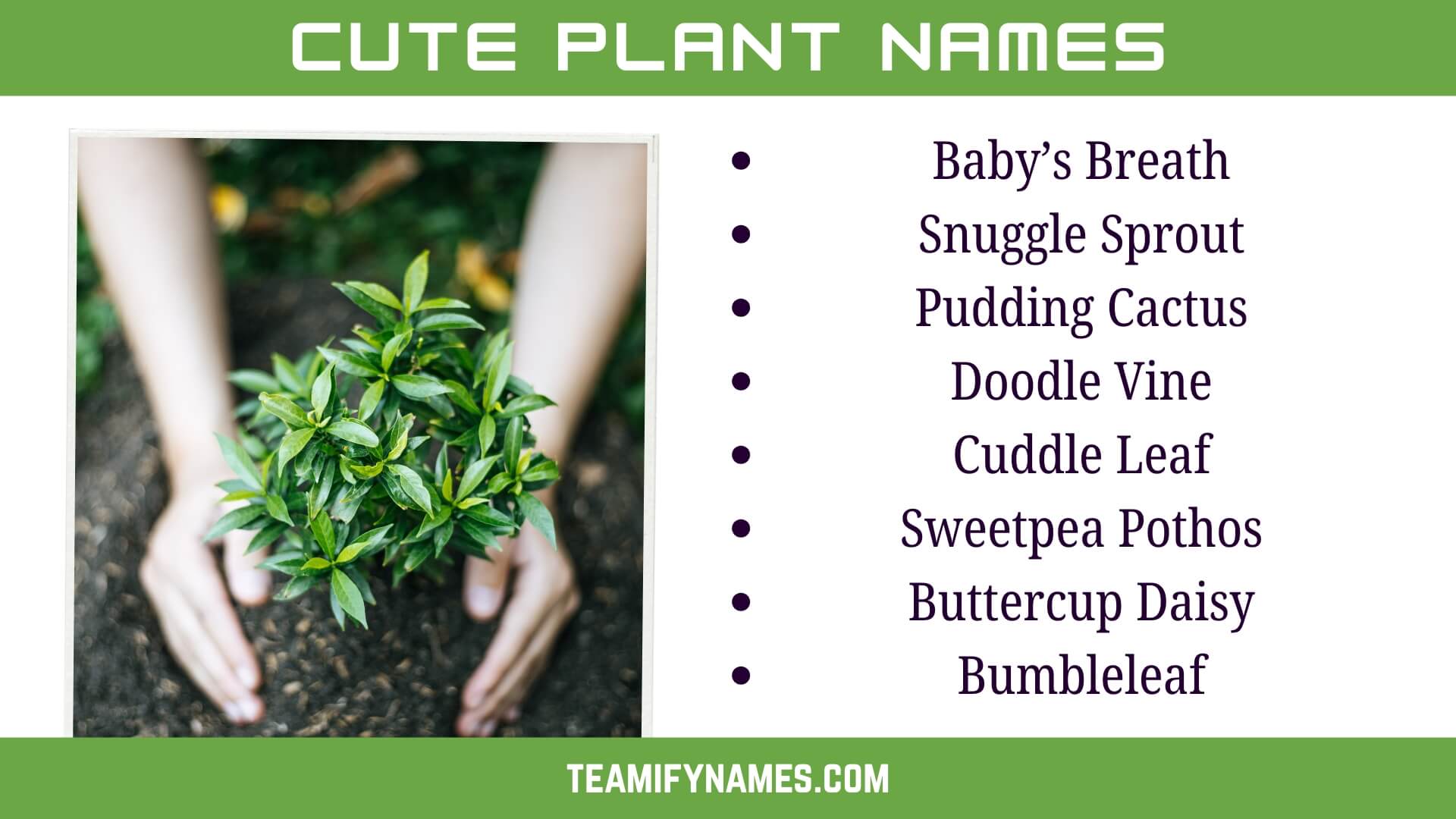 Cute Plant Names