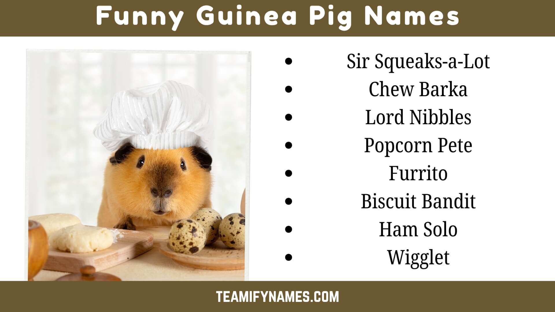 Funny Guinea Pig Names