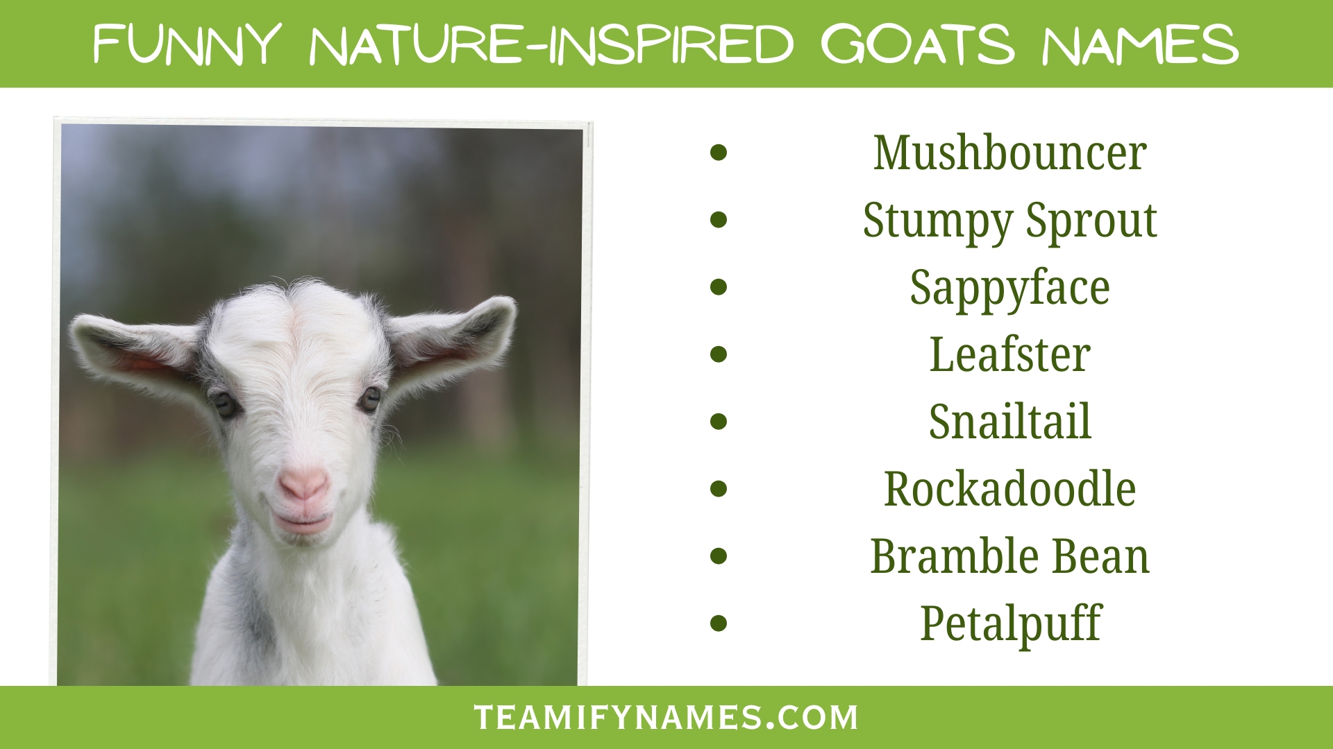 Funny Nature-Inspired Goats Names
