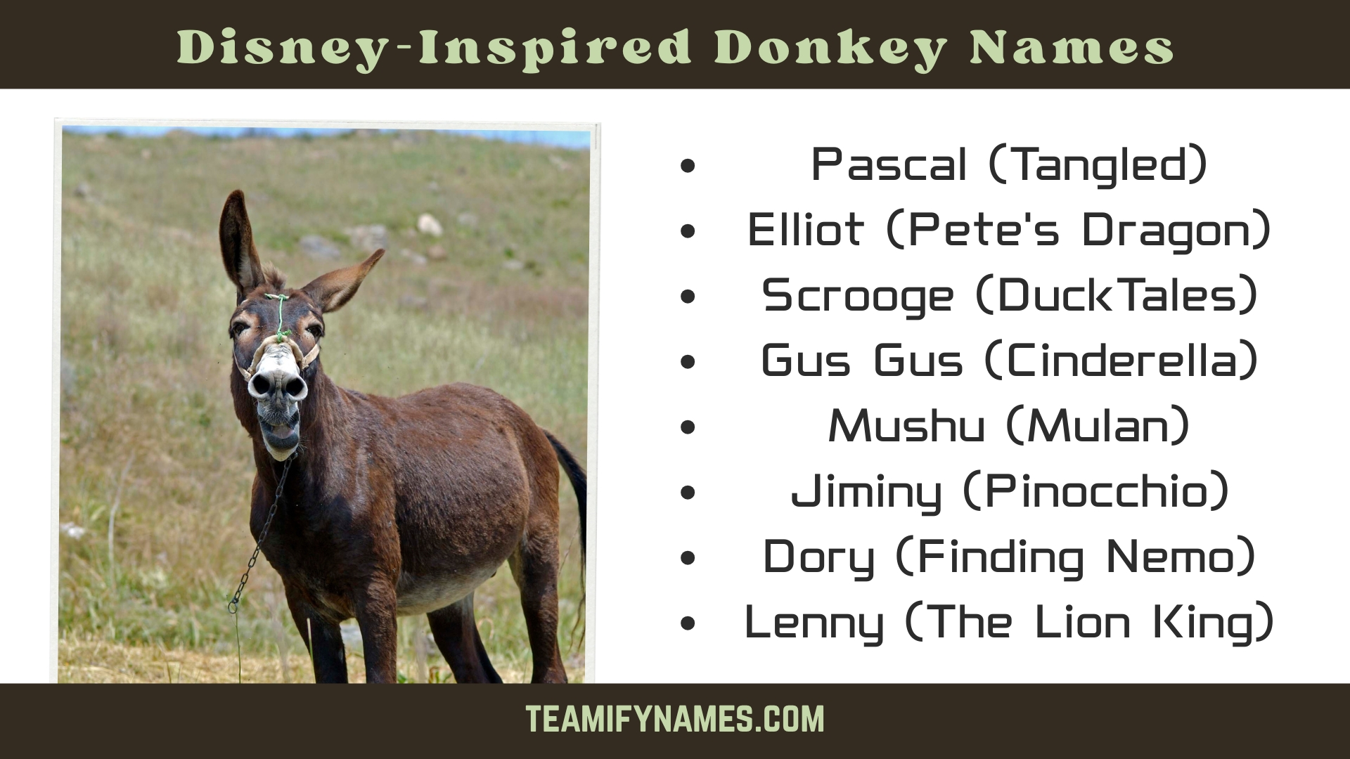 Disney-Inspired Donkey Names
