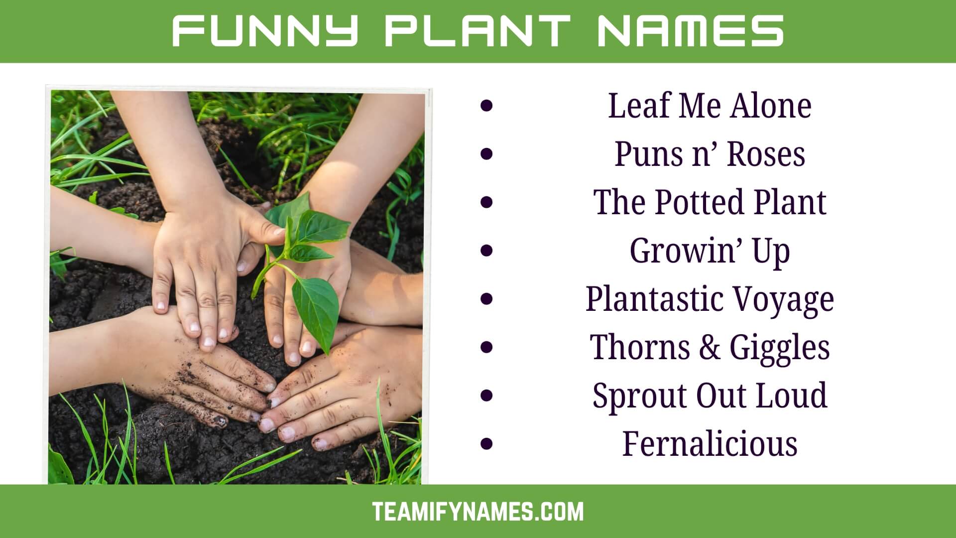 Funny Plant Names