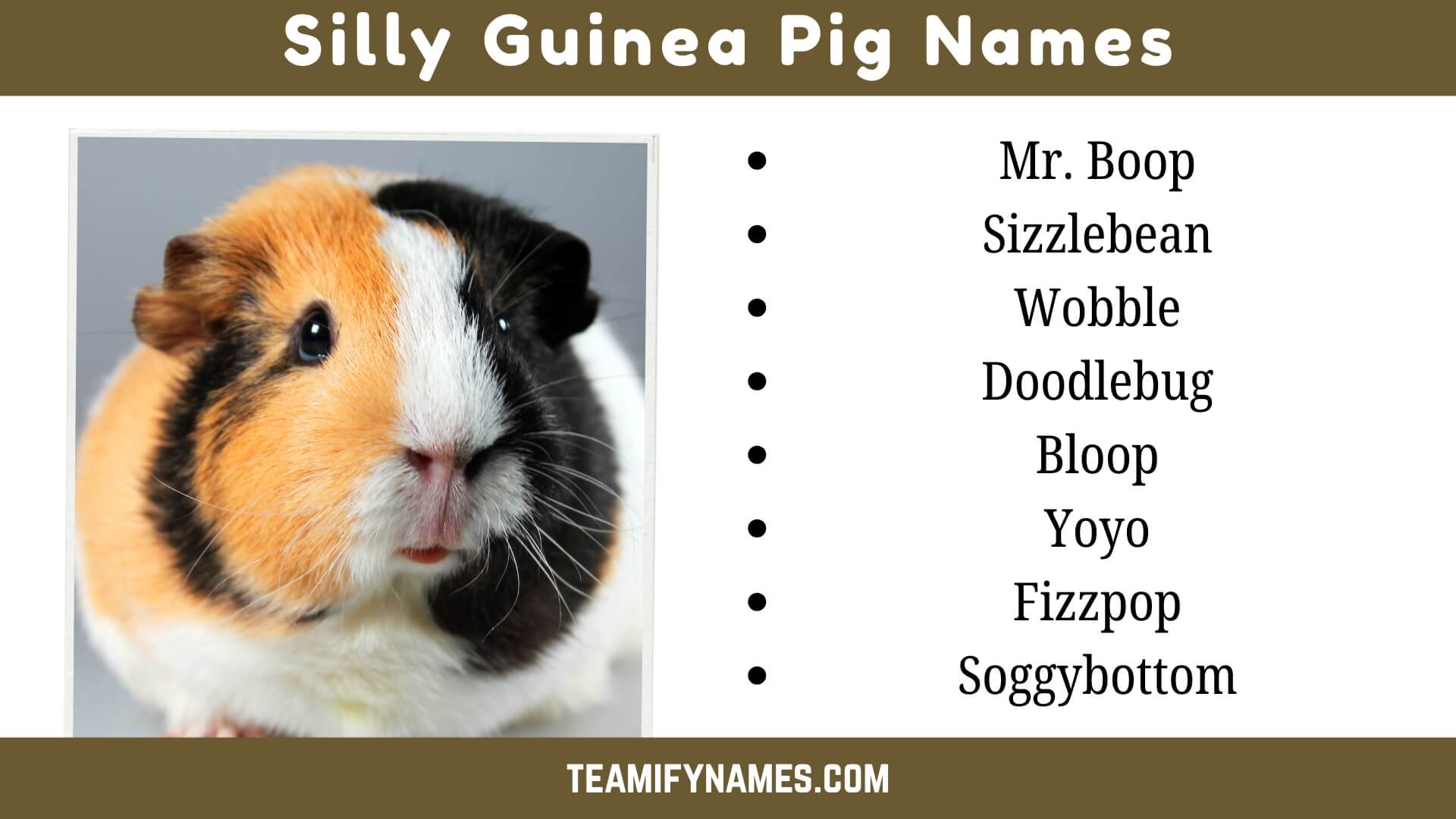 Silly Guinea Pig Names