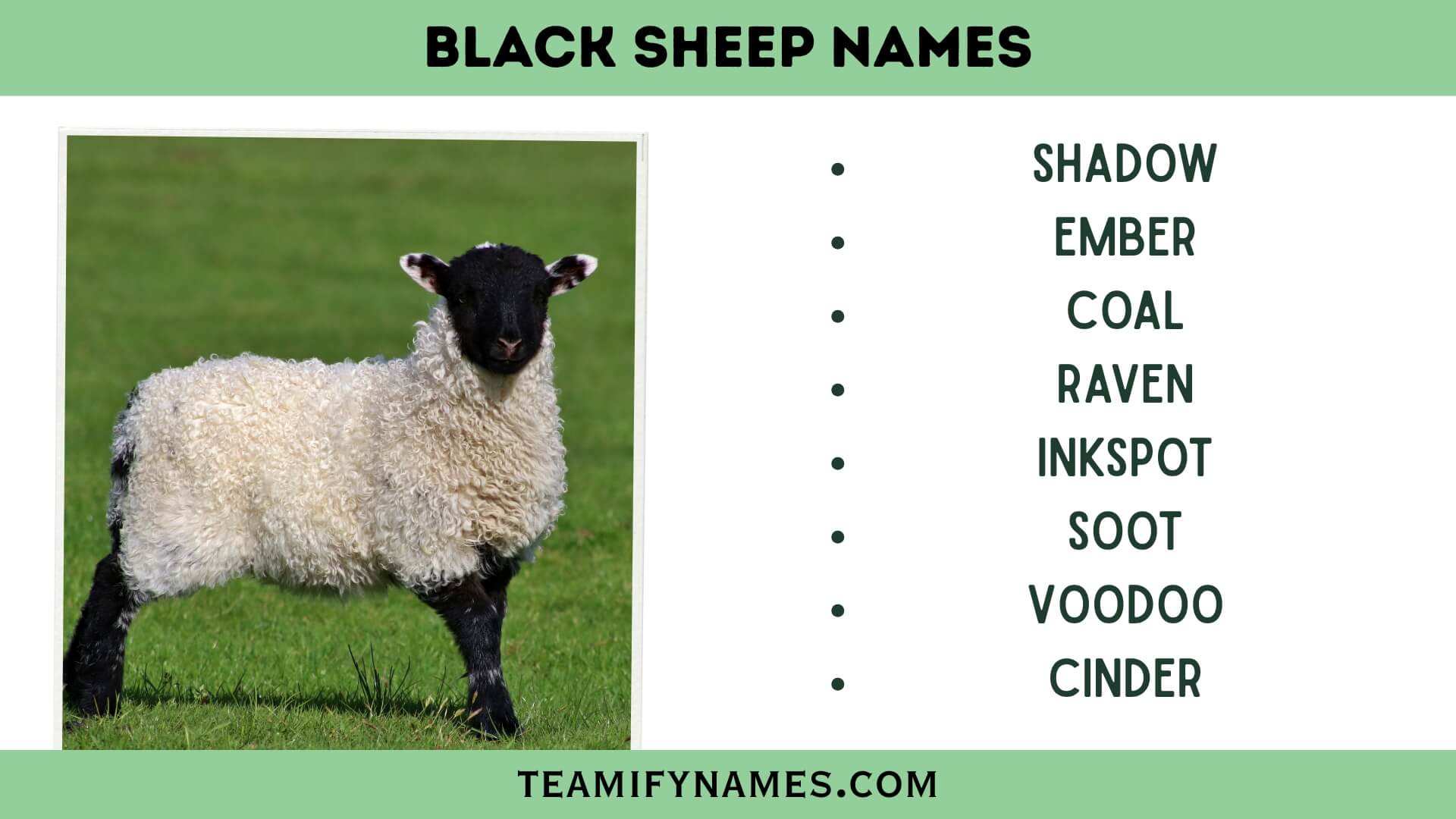 Black Sheep Names