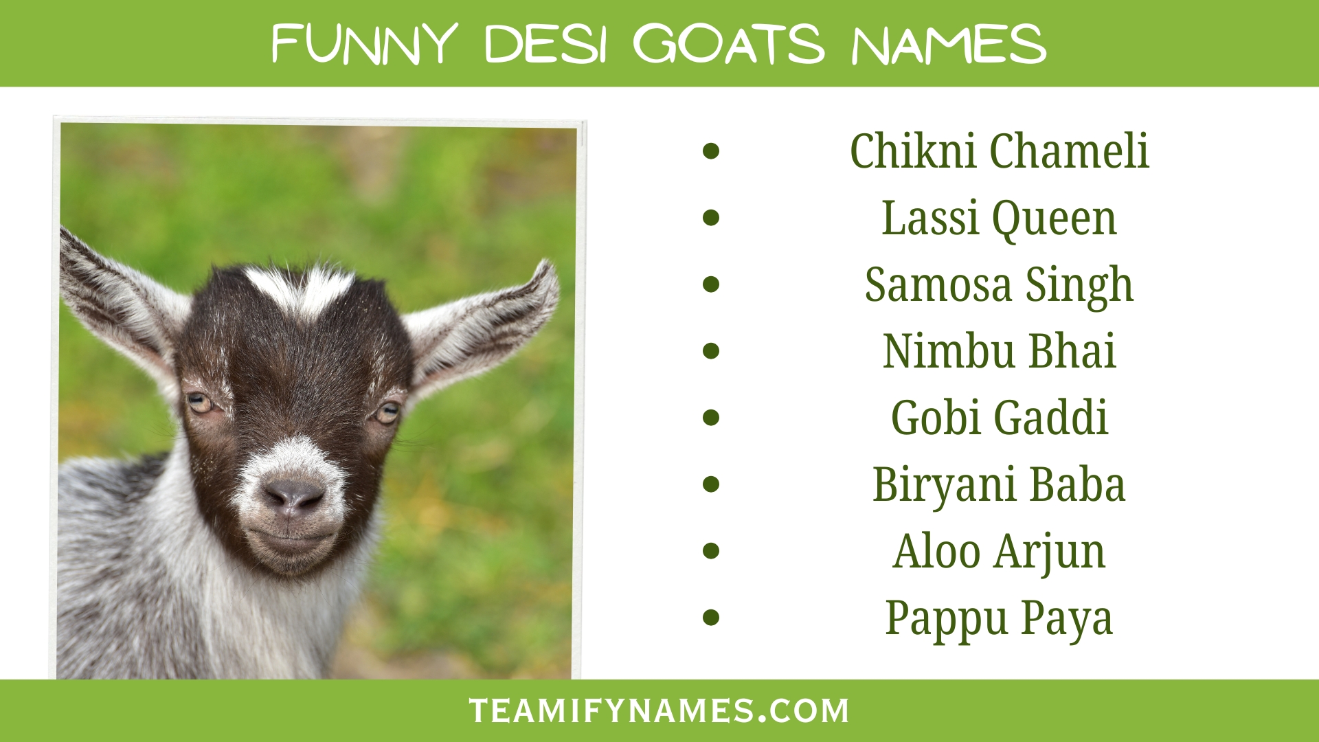 Funny Desi Goats Names