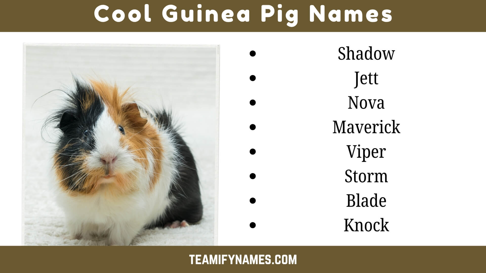 Cool Guinea Pig Names