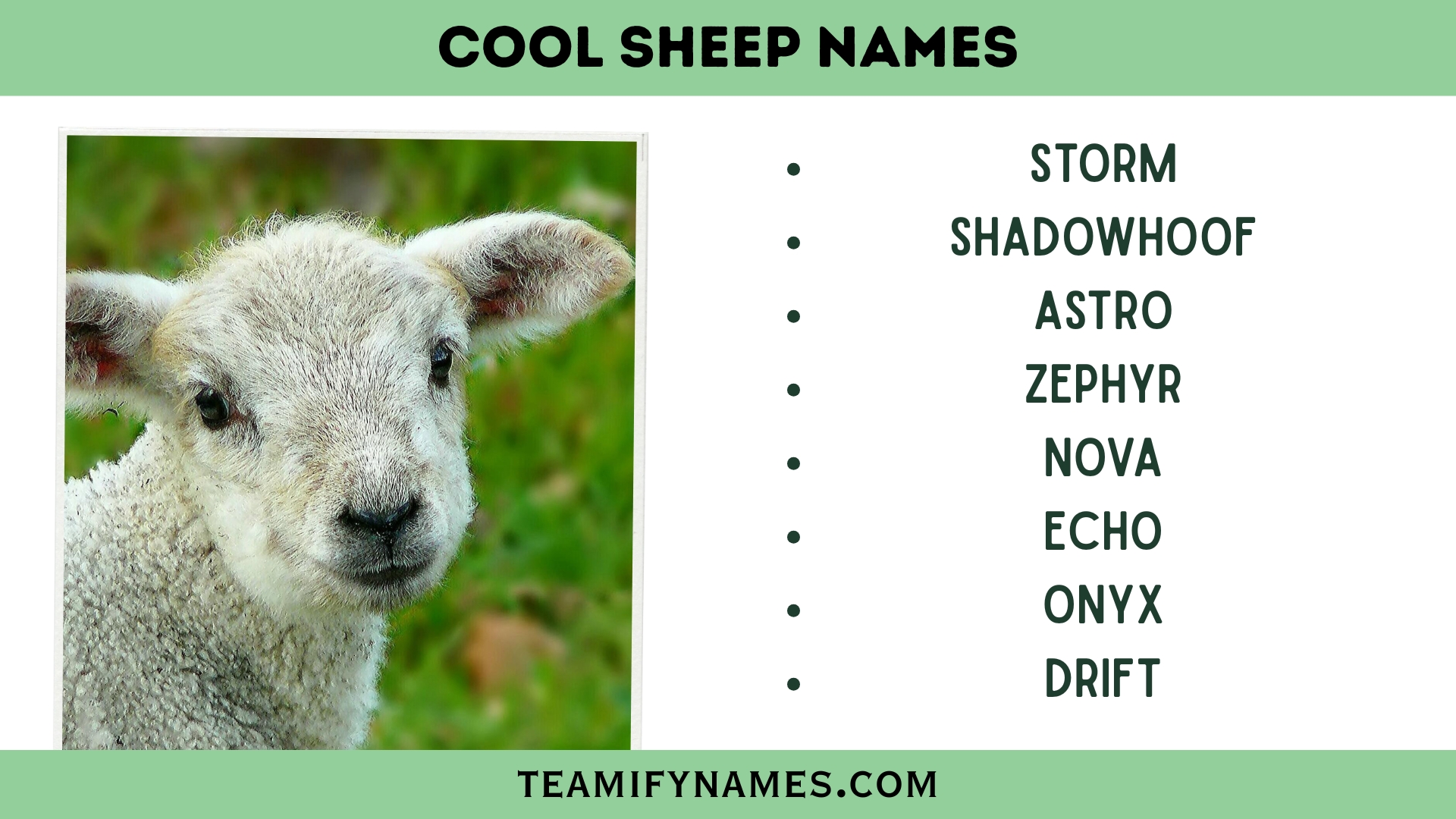 Cool Sheep Names