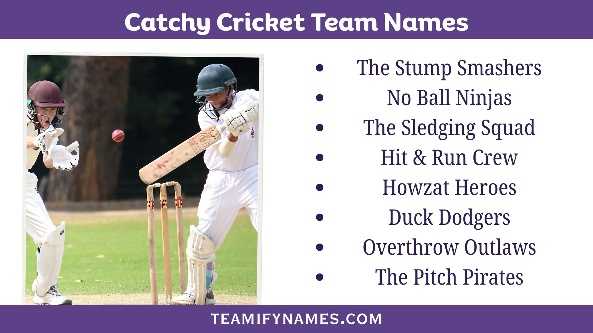 Catchy Cricket Team Names