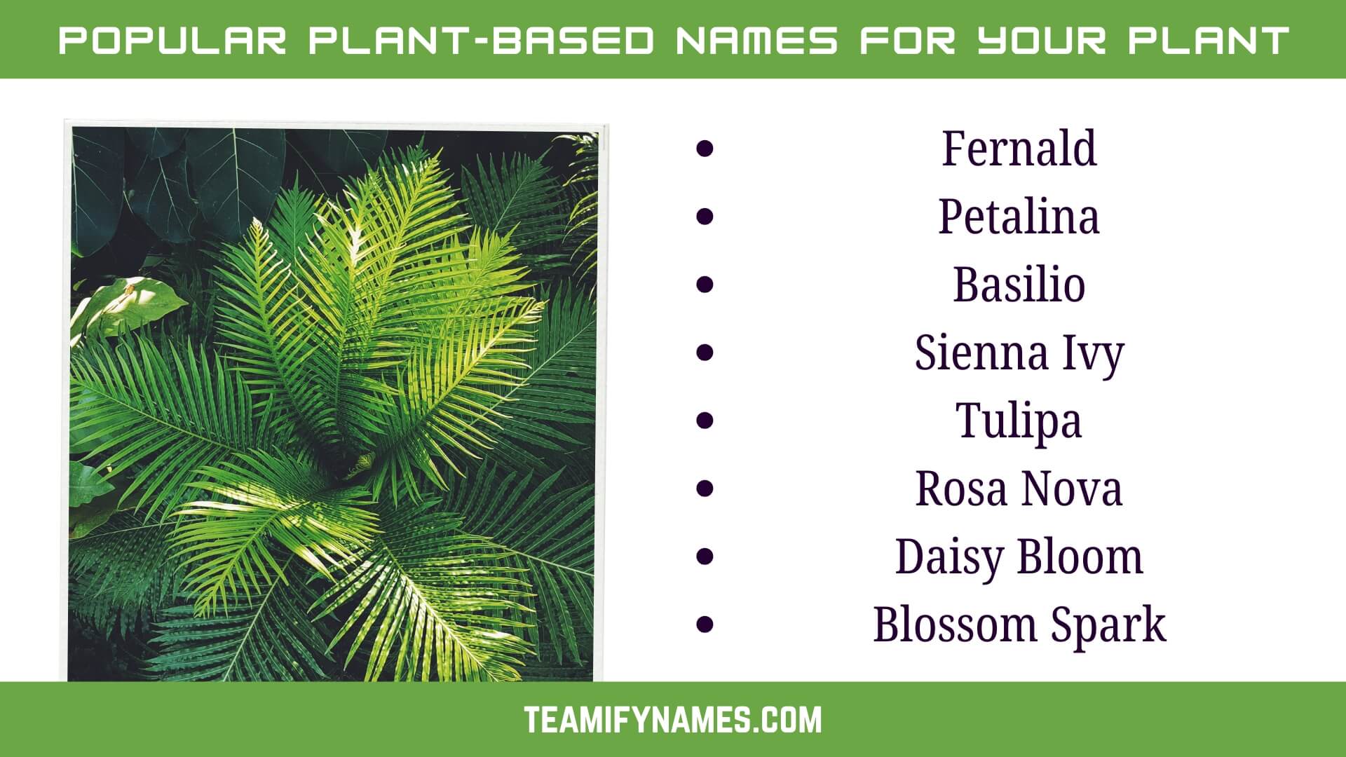 Popular Plant-Based Names for Your Plant