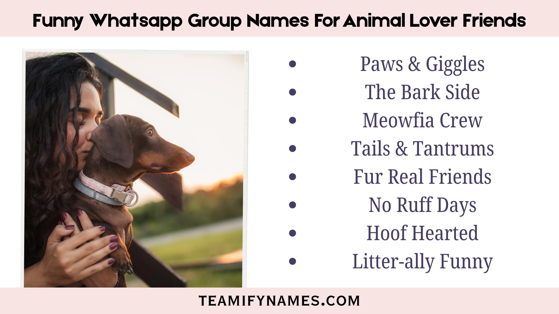 Funny Whatsapp Group Names For Animal Lover Friends