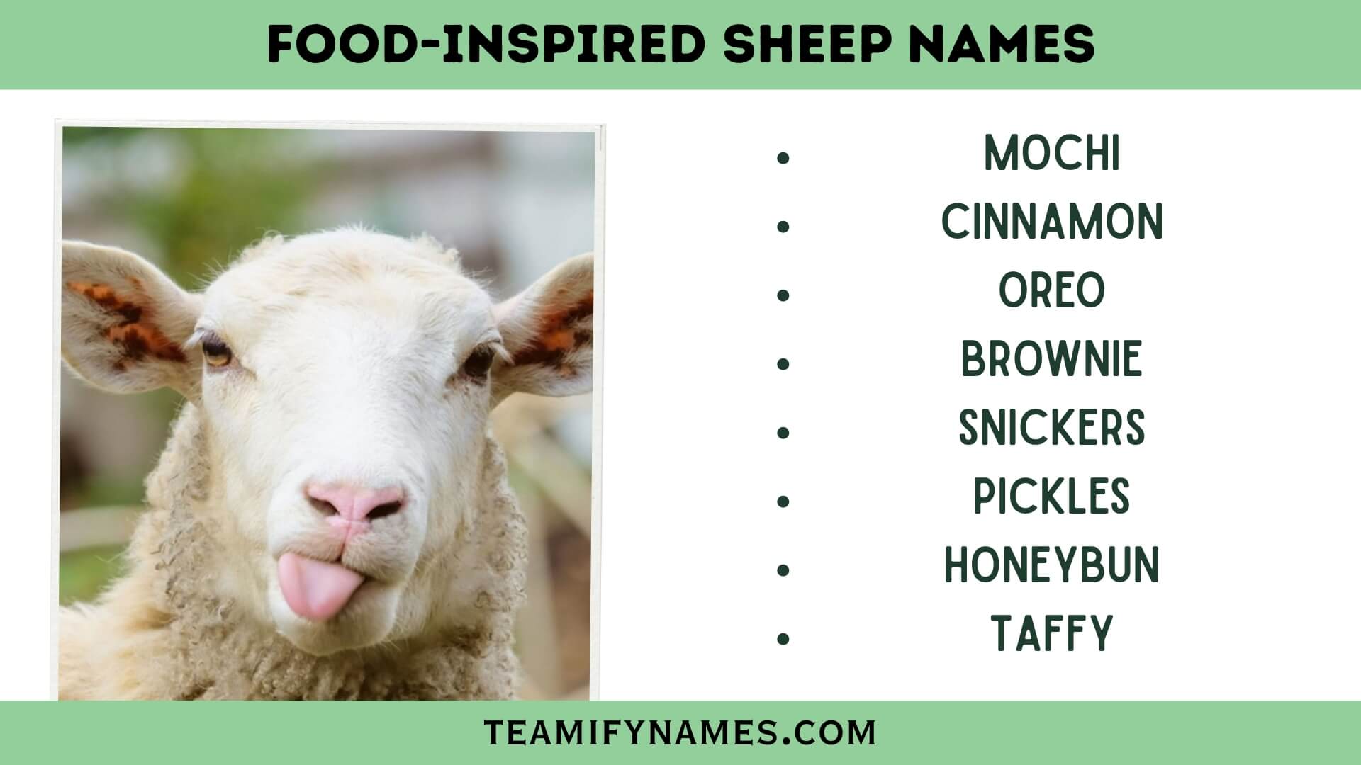 Food-Inspired Sheep Names