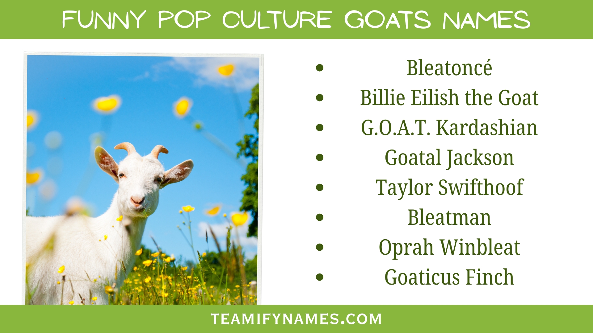 Funny Pop Culture Goats Names