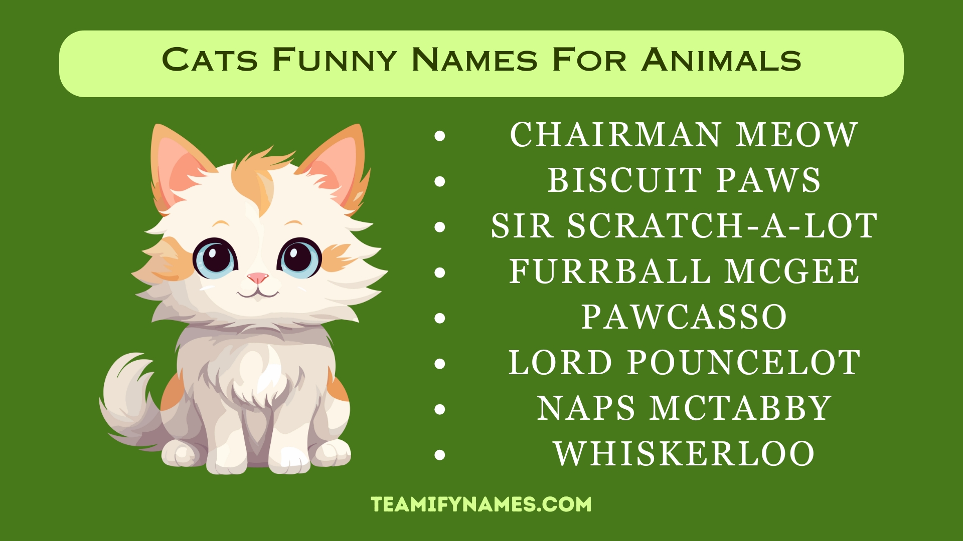 Cats Funny Names For Animals
