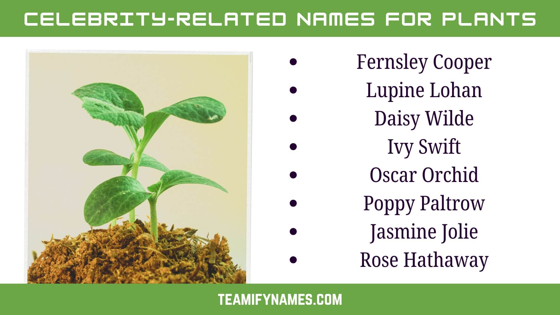 Celebrity-Related Names for Plants