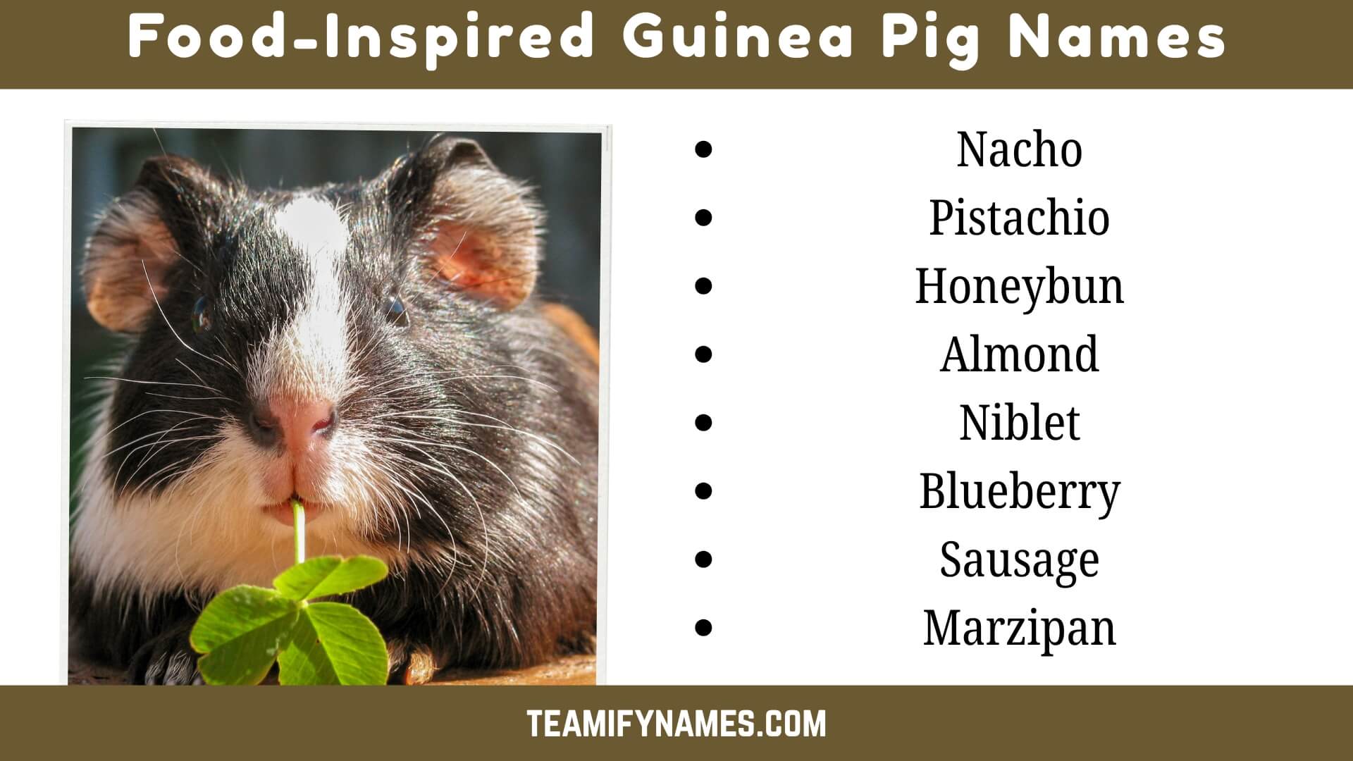 Food-Inspired Guinea Pig Names