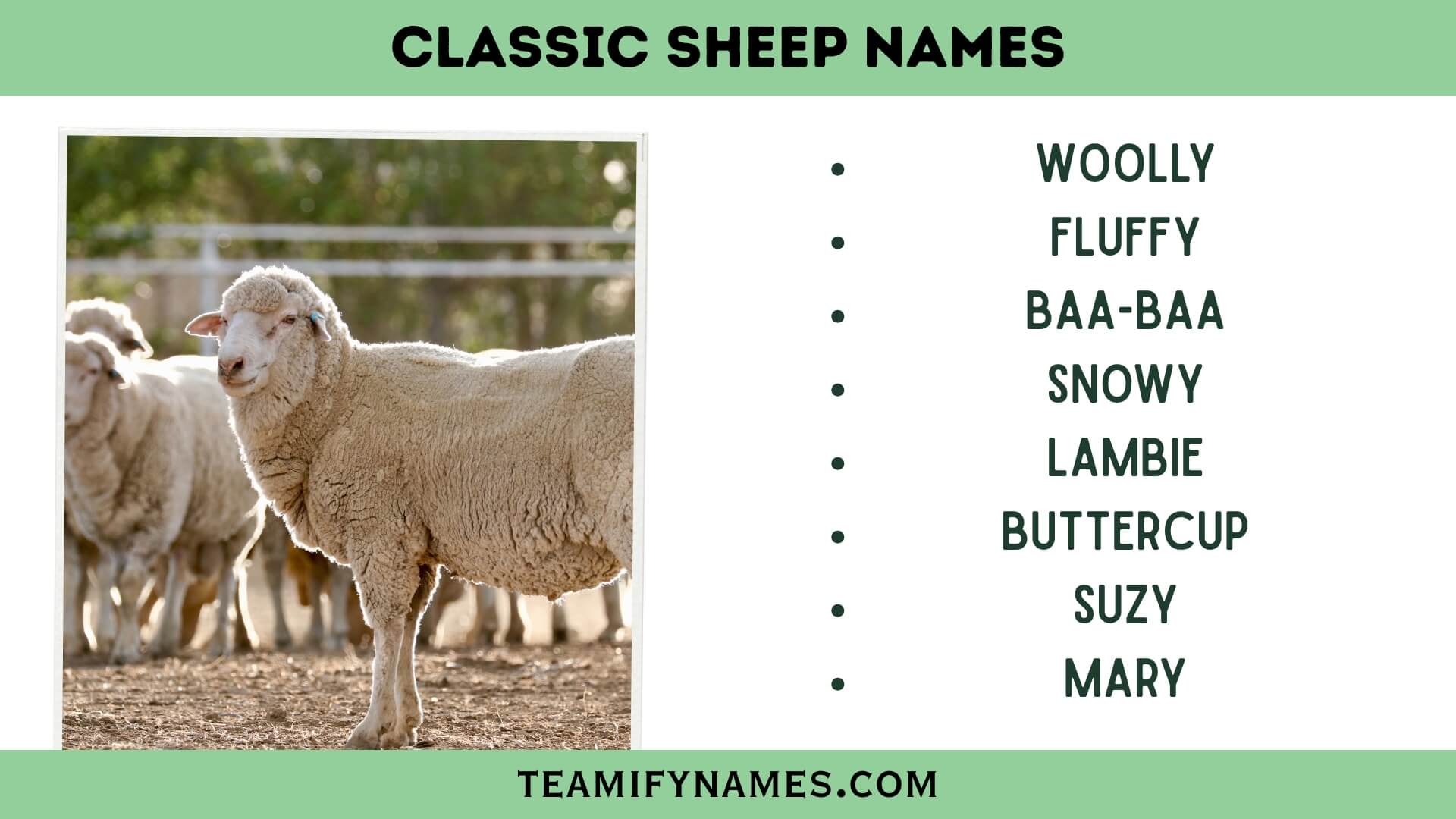 Classic Sheep Names