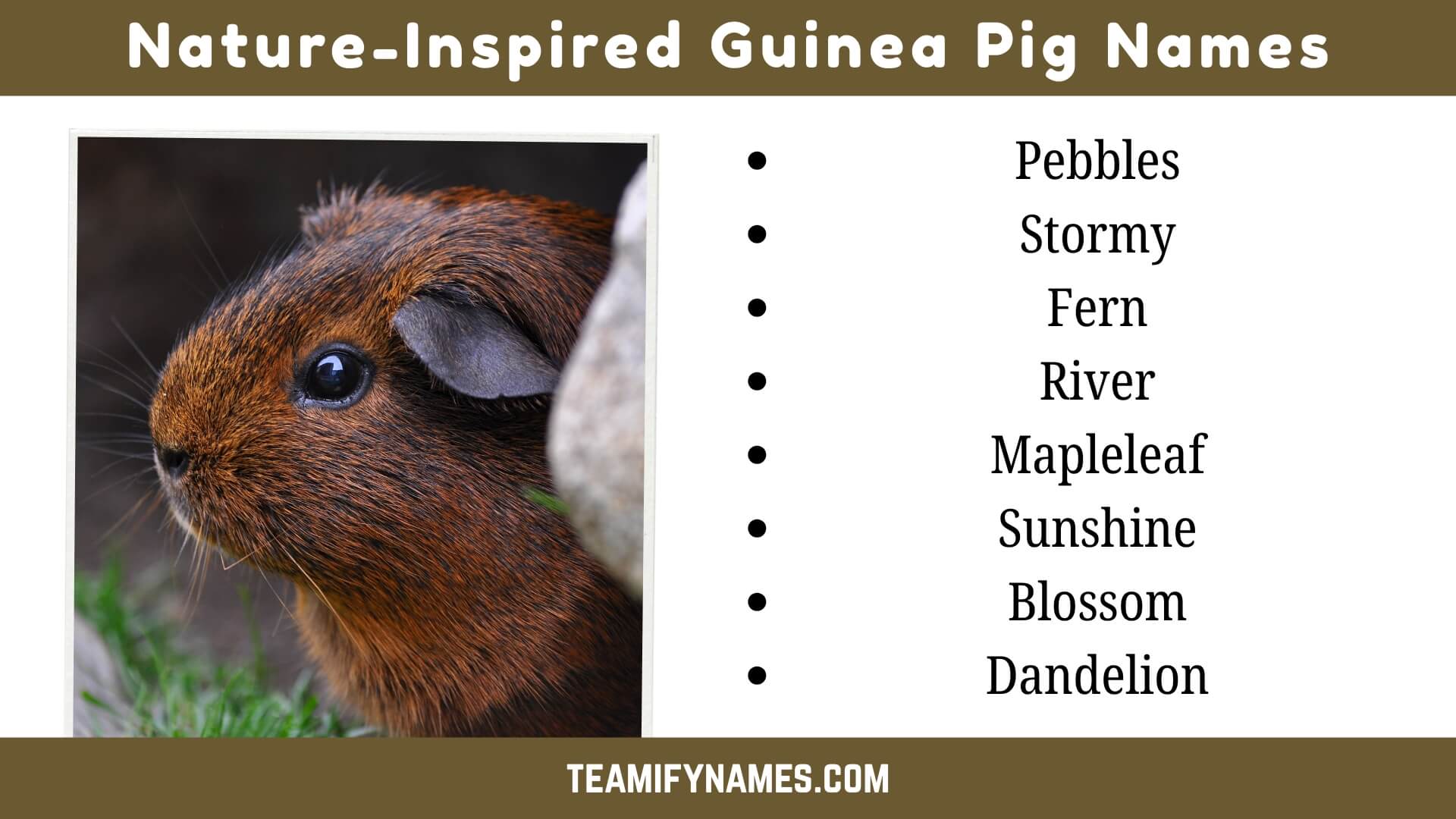 Nature-Inspired Guinea Pig Names
