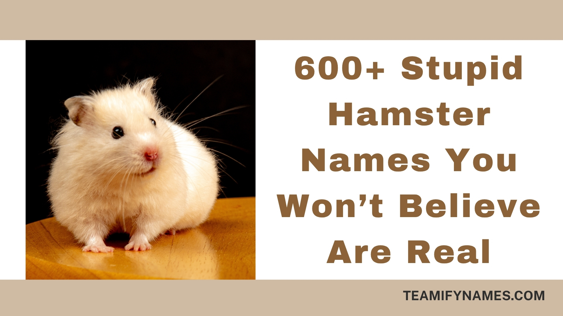 600+ Stupid Hamster Names You Won’t Believe Are Real