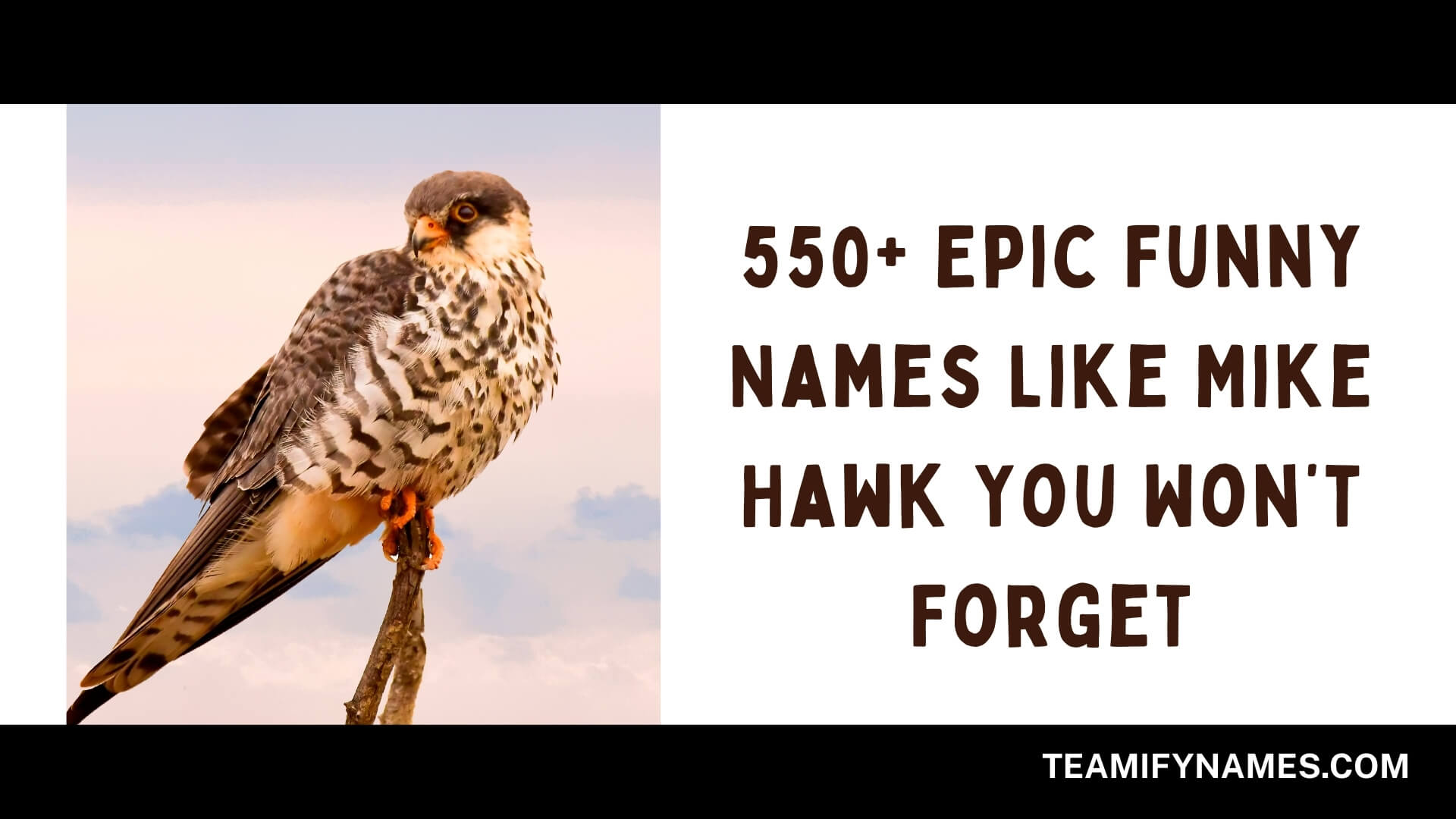 550+ Epic Funny Names Like Mike Hawk You Won’t Forget