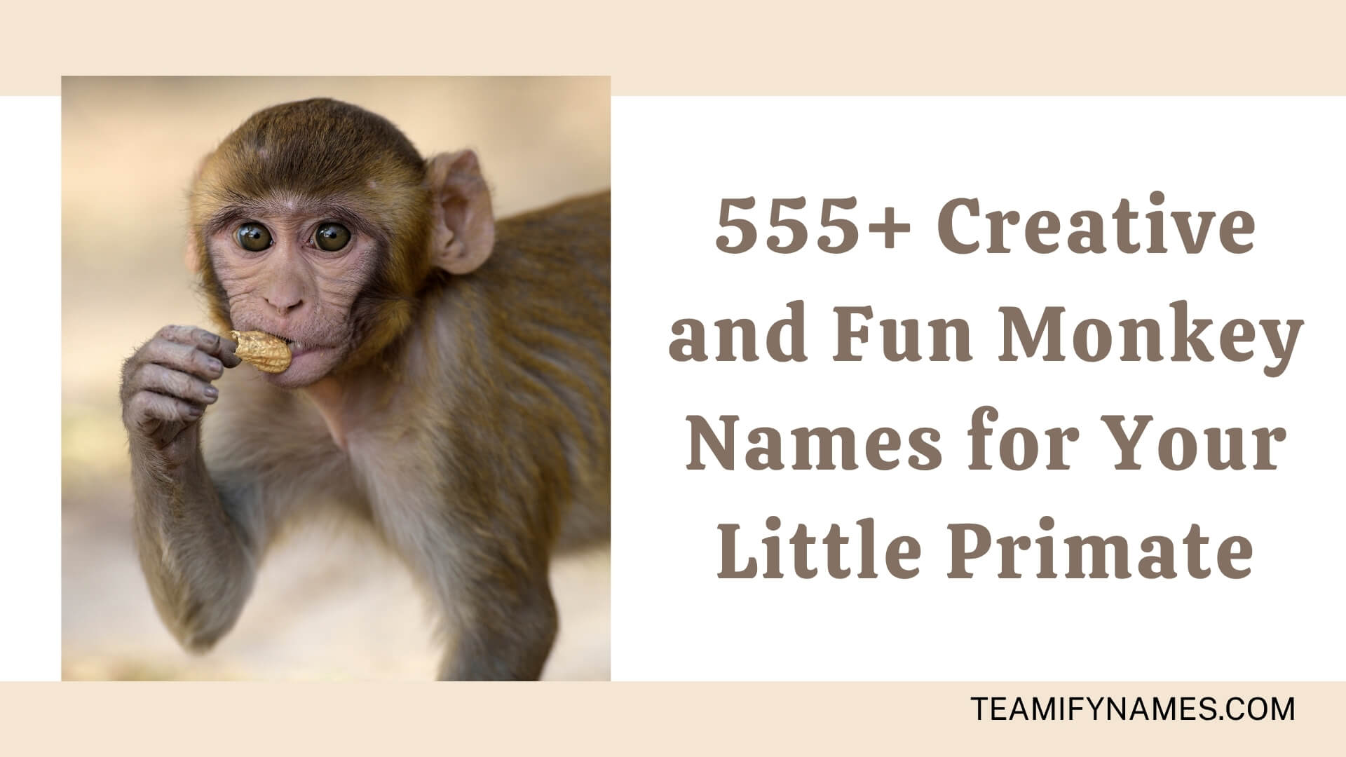 555+ Creative and Fun Monkey Names for Your Little Primate