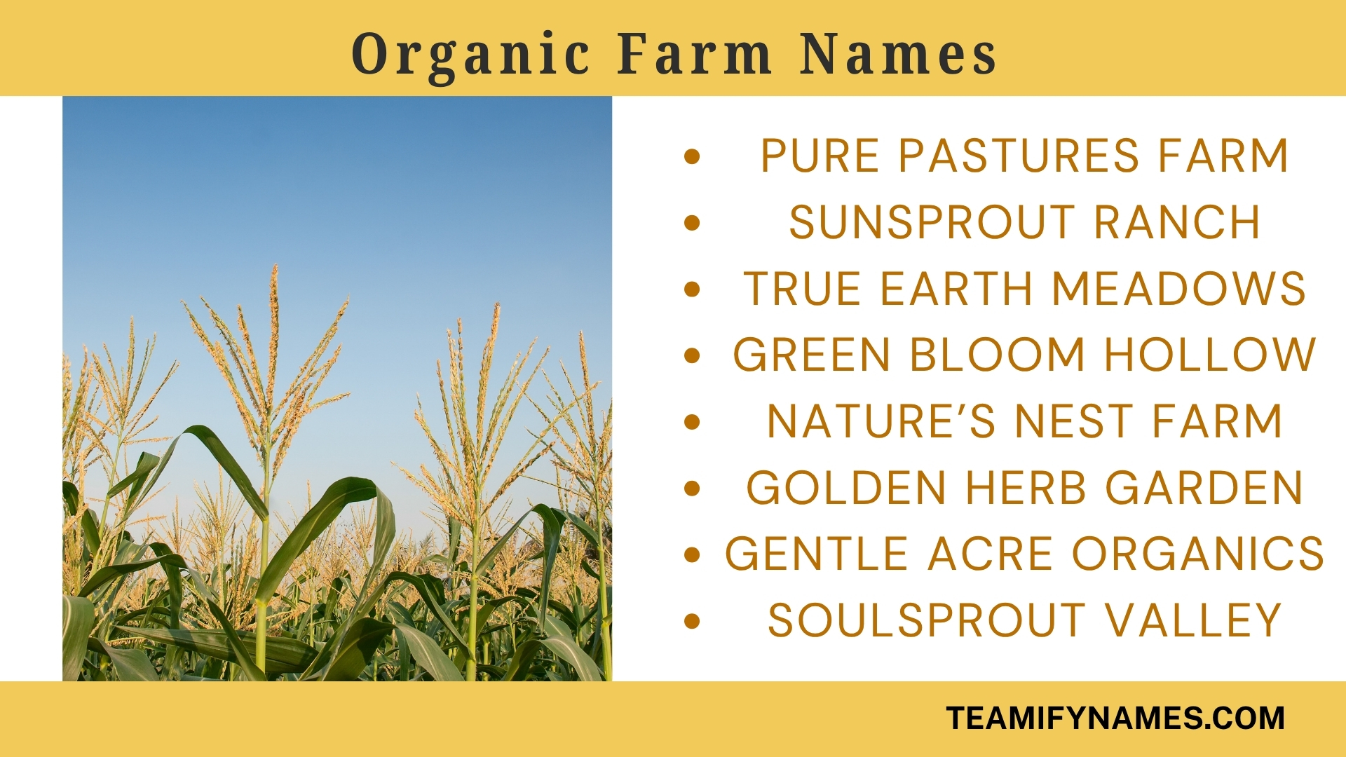 Organic Farm Names