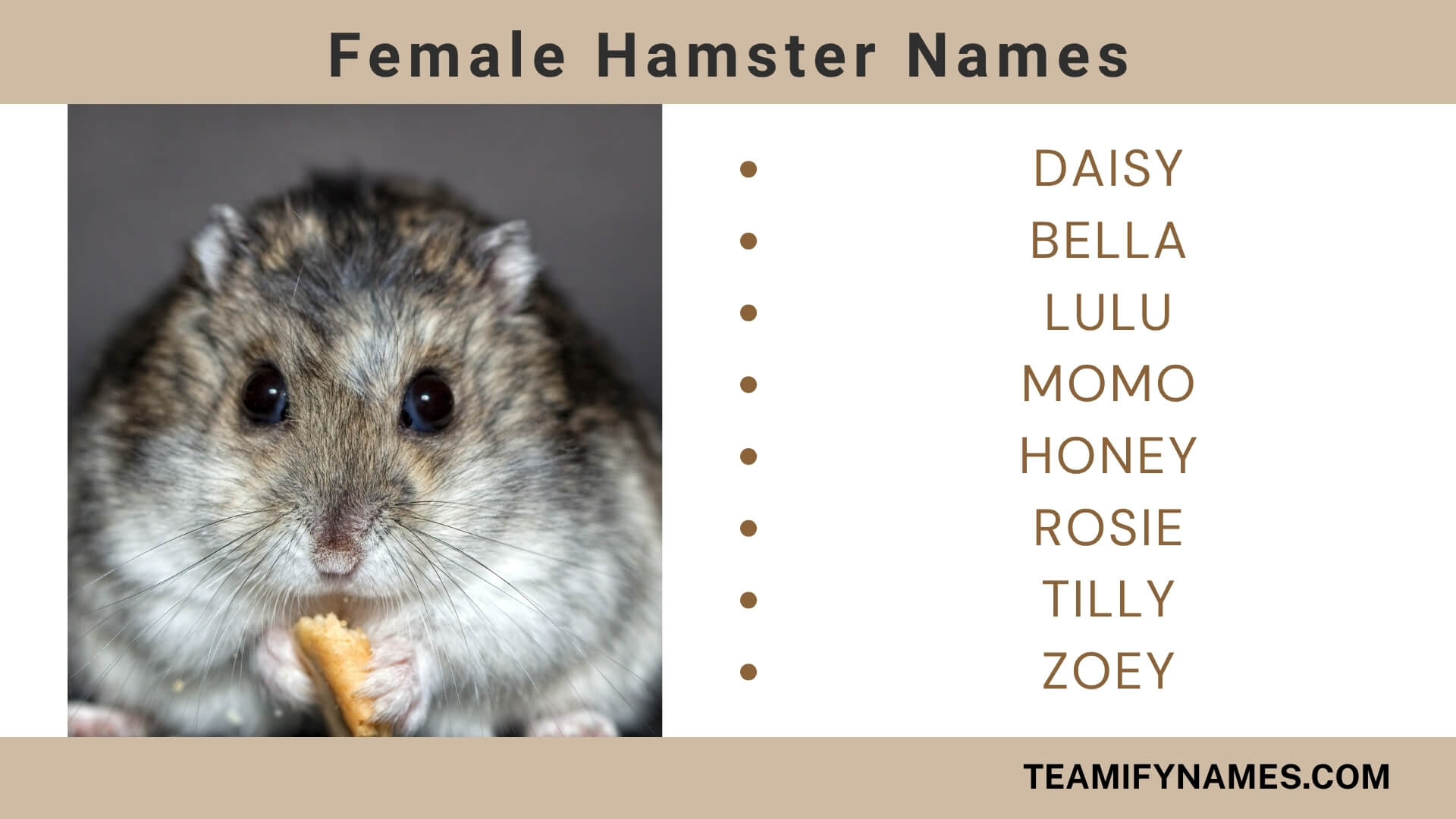 Female Hamster Names
