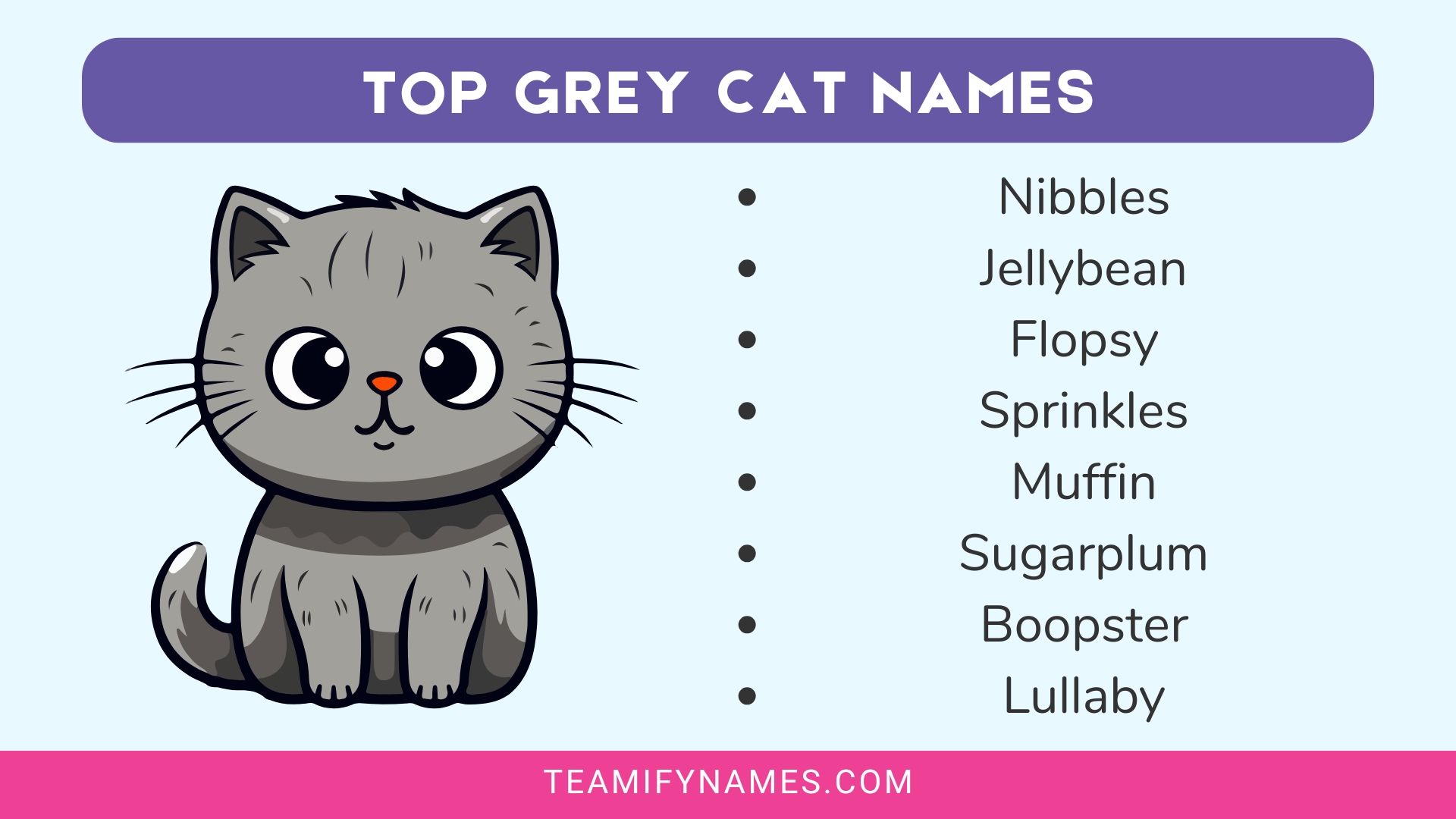 Top Grey Cat Names