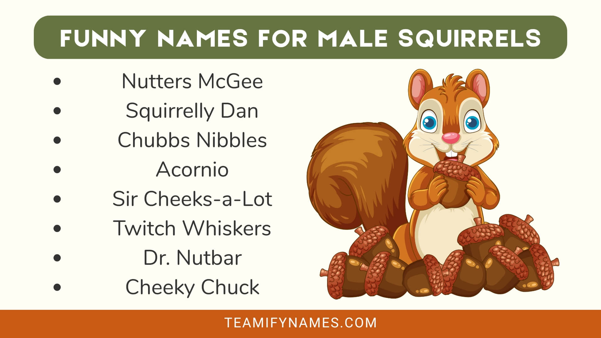 Funny Names for Male Squirrels