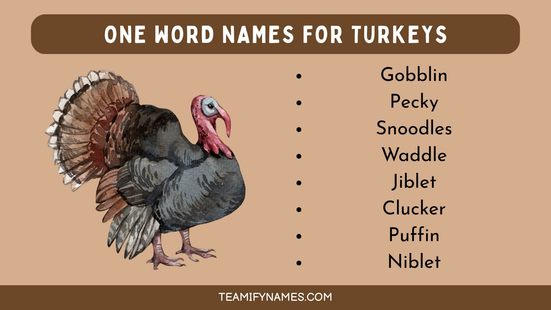 One Word Names For Turkeys