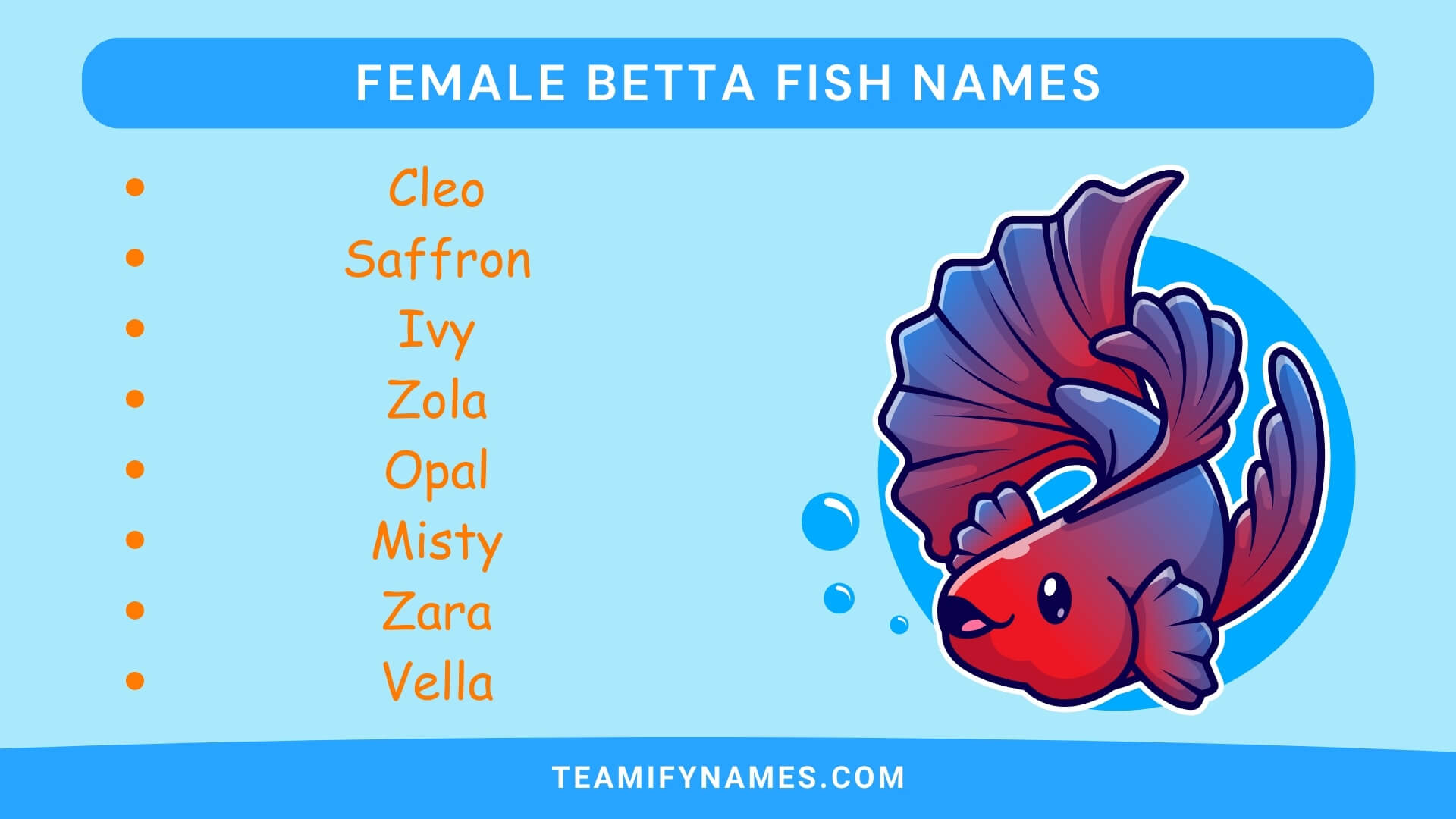 Female Betta Fish Names
